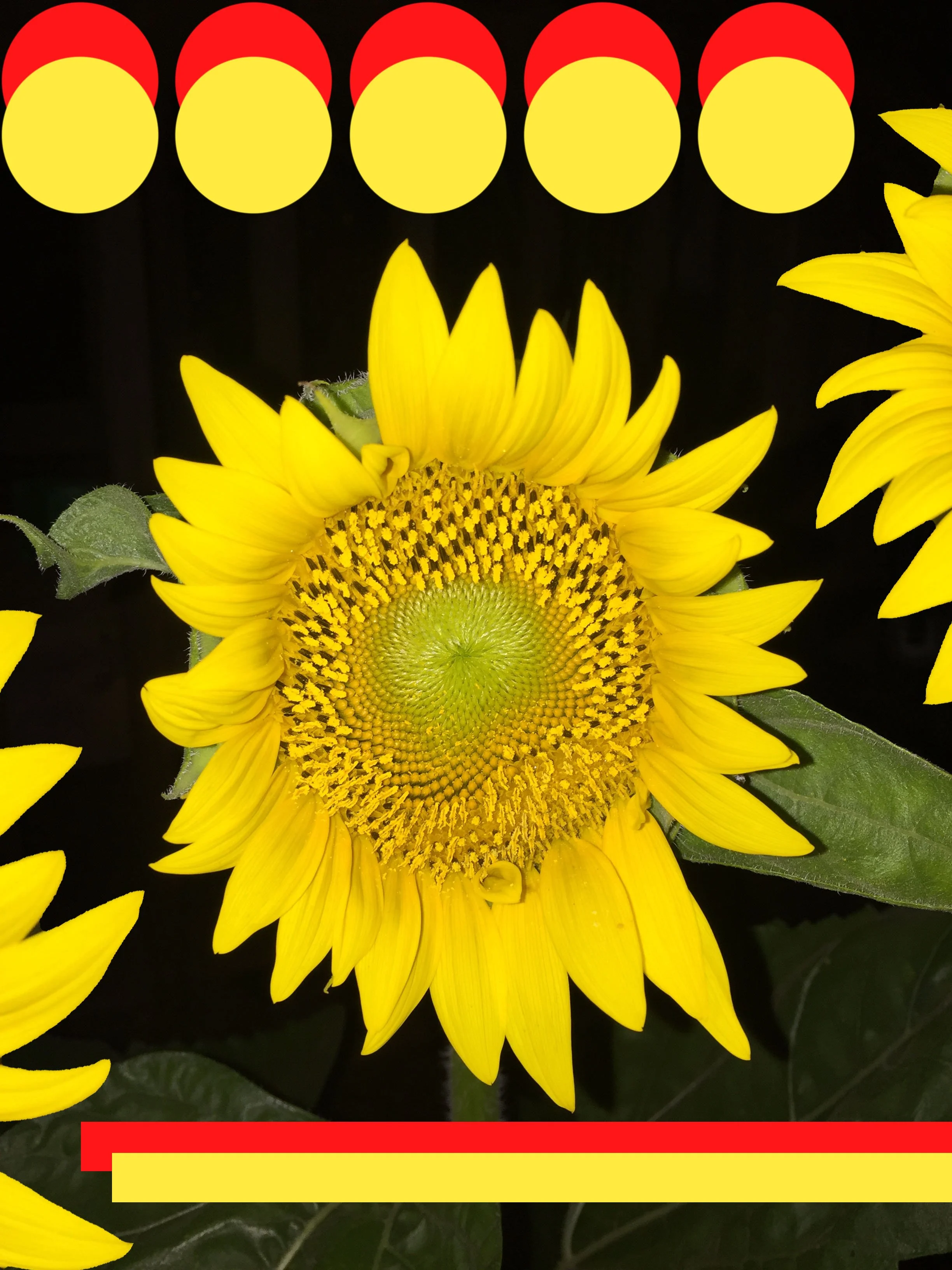 Practicing Existential Therapy in Nashville, TN