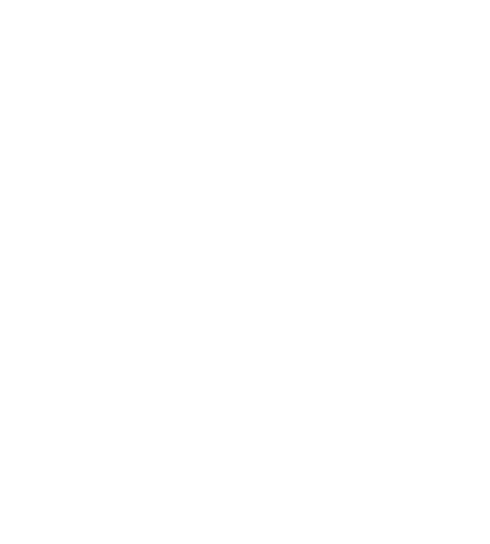 Owls Among Us