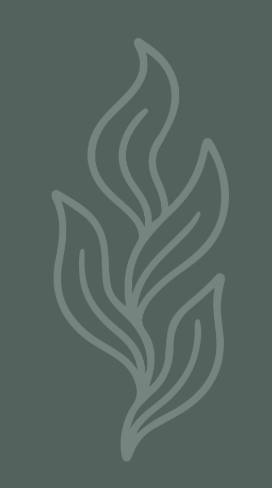 kelp desk virtual assistant and project management