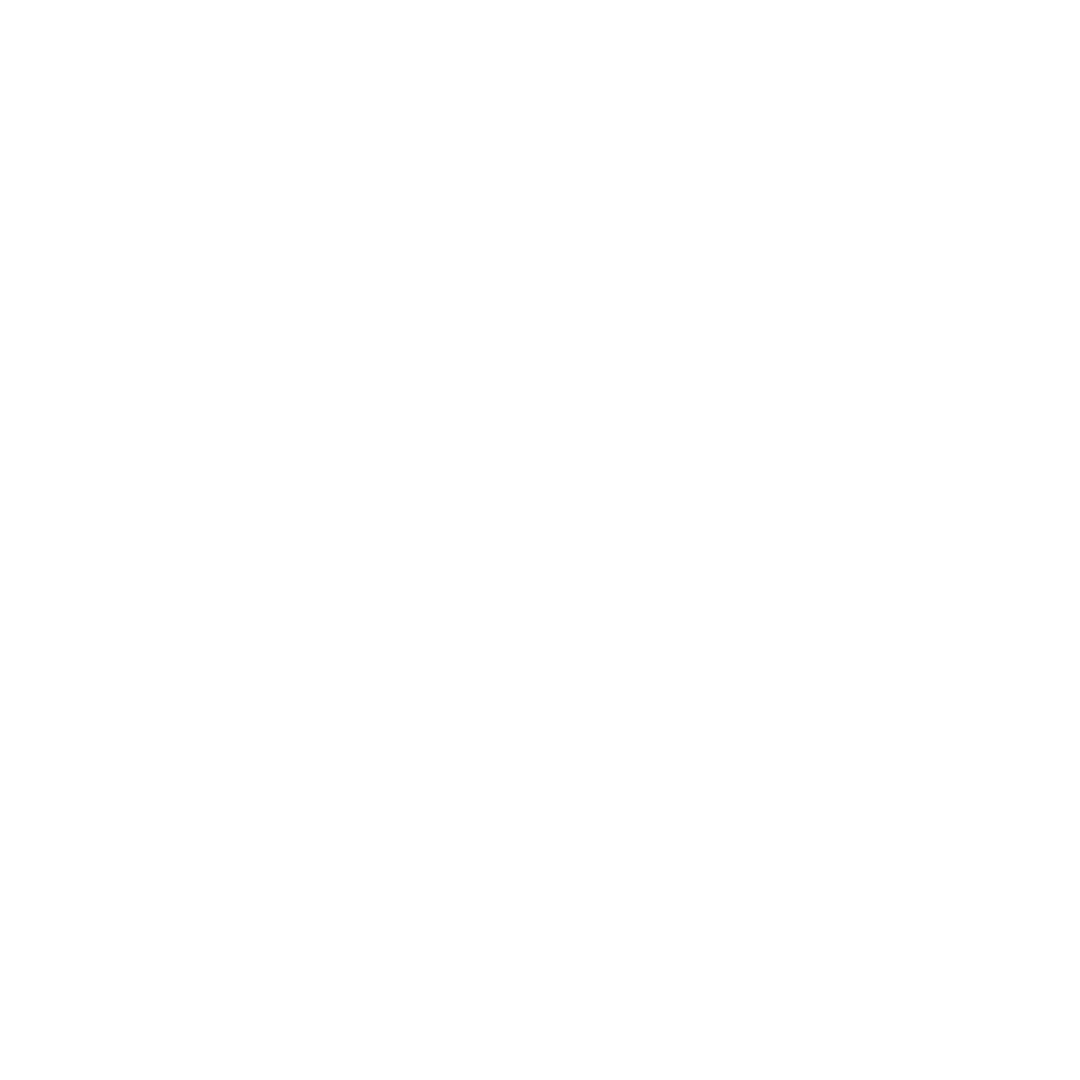 Professional Services icon