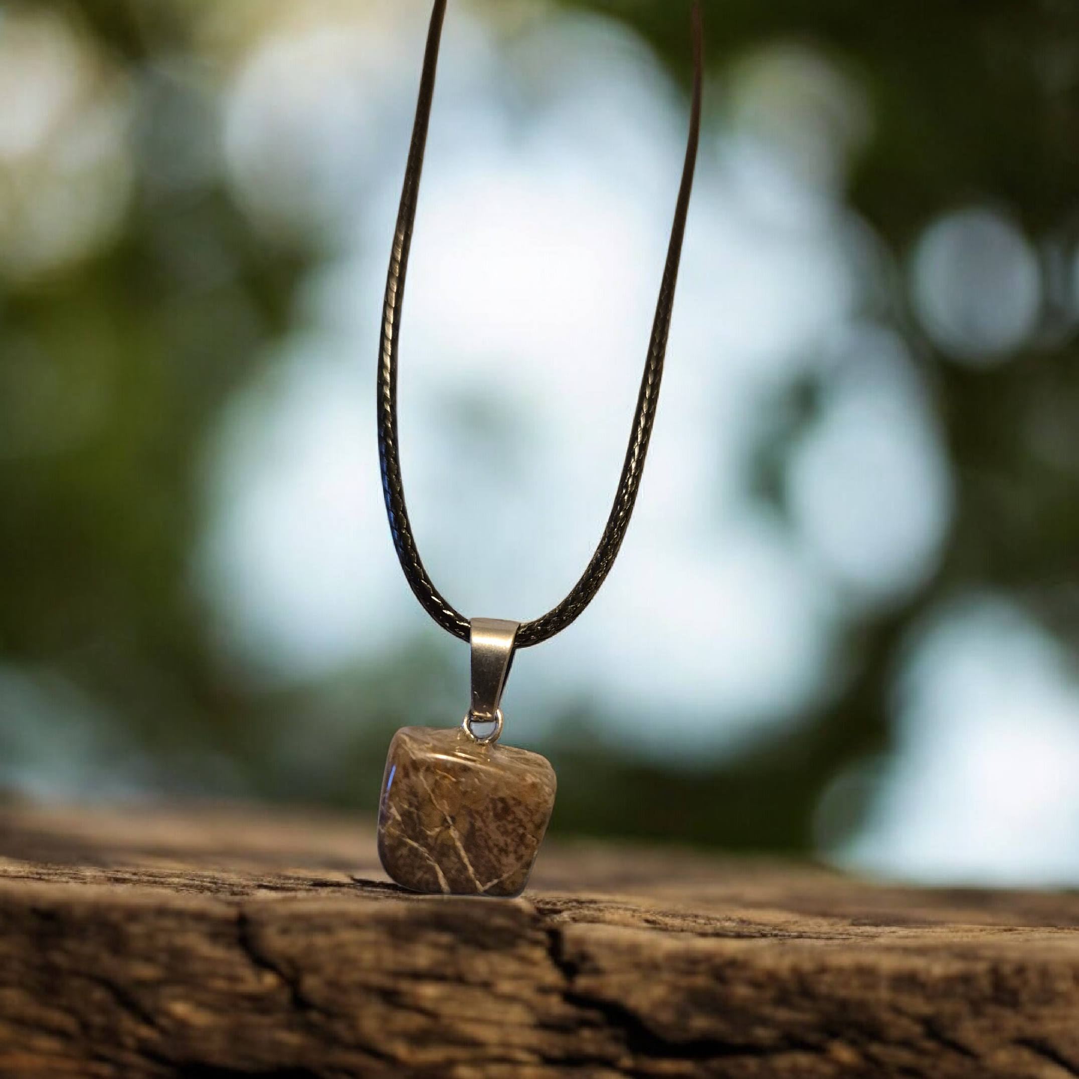 20260125_130228 (1).png