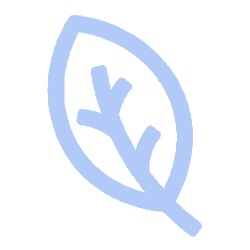 Line drawing of a leaf with a prominent central vein and smaller side veins.