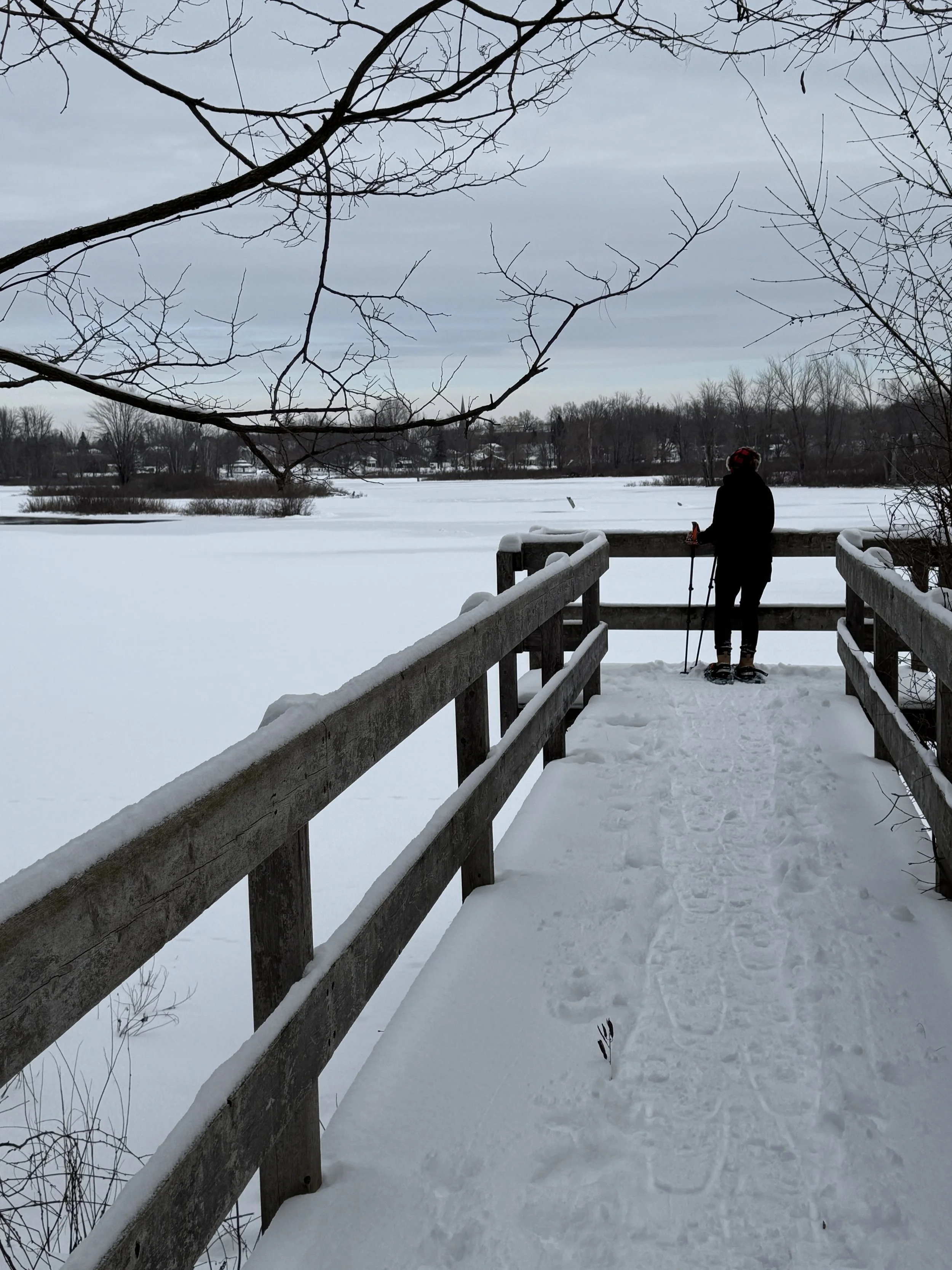 What did I just do?&nbsp;