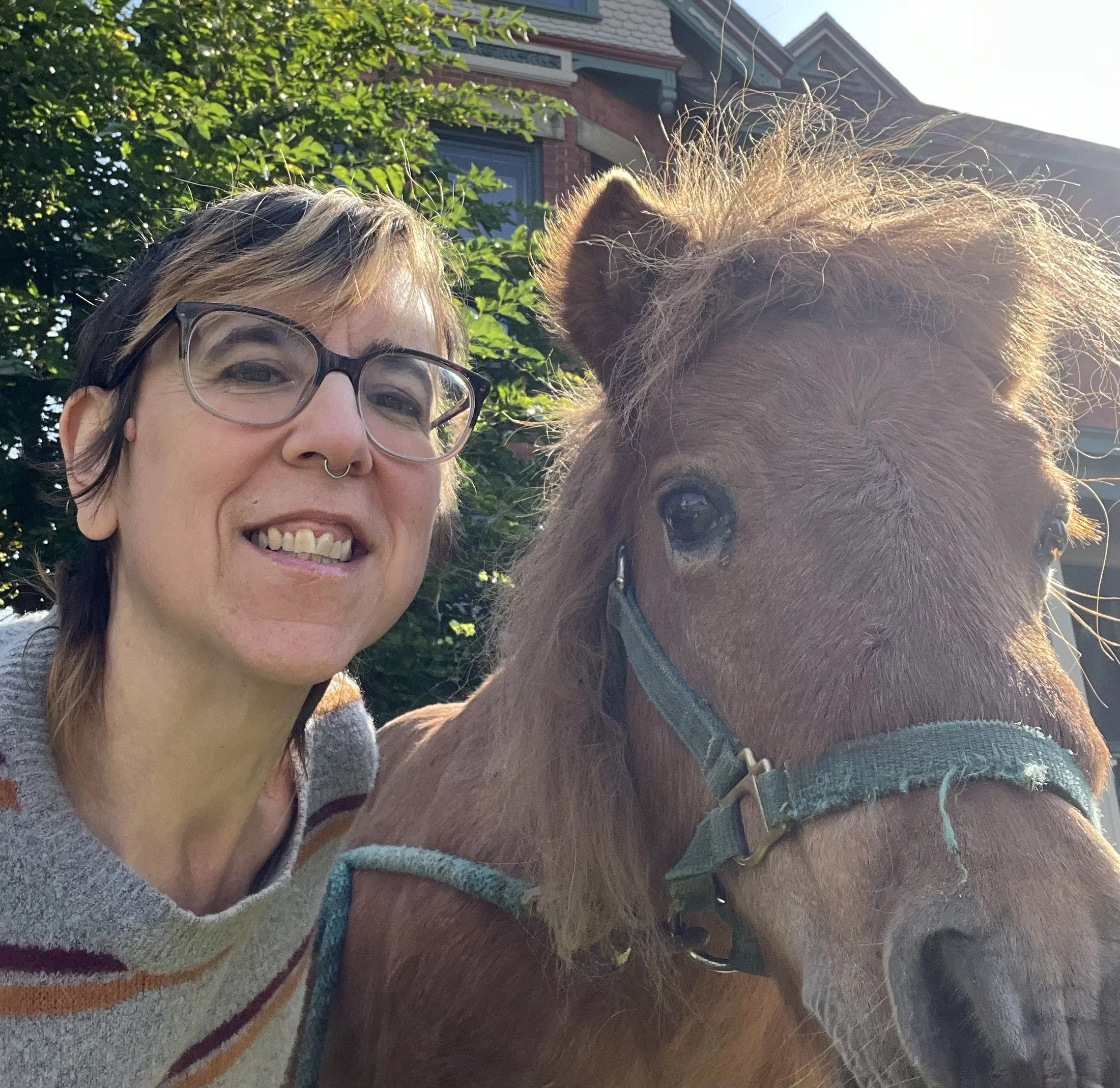 a closeup of me cuddling up to a miniture horse