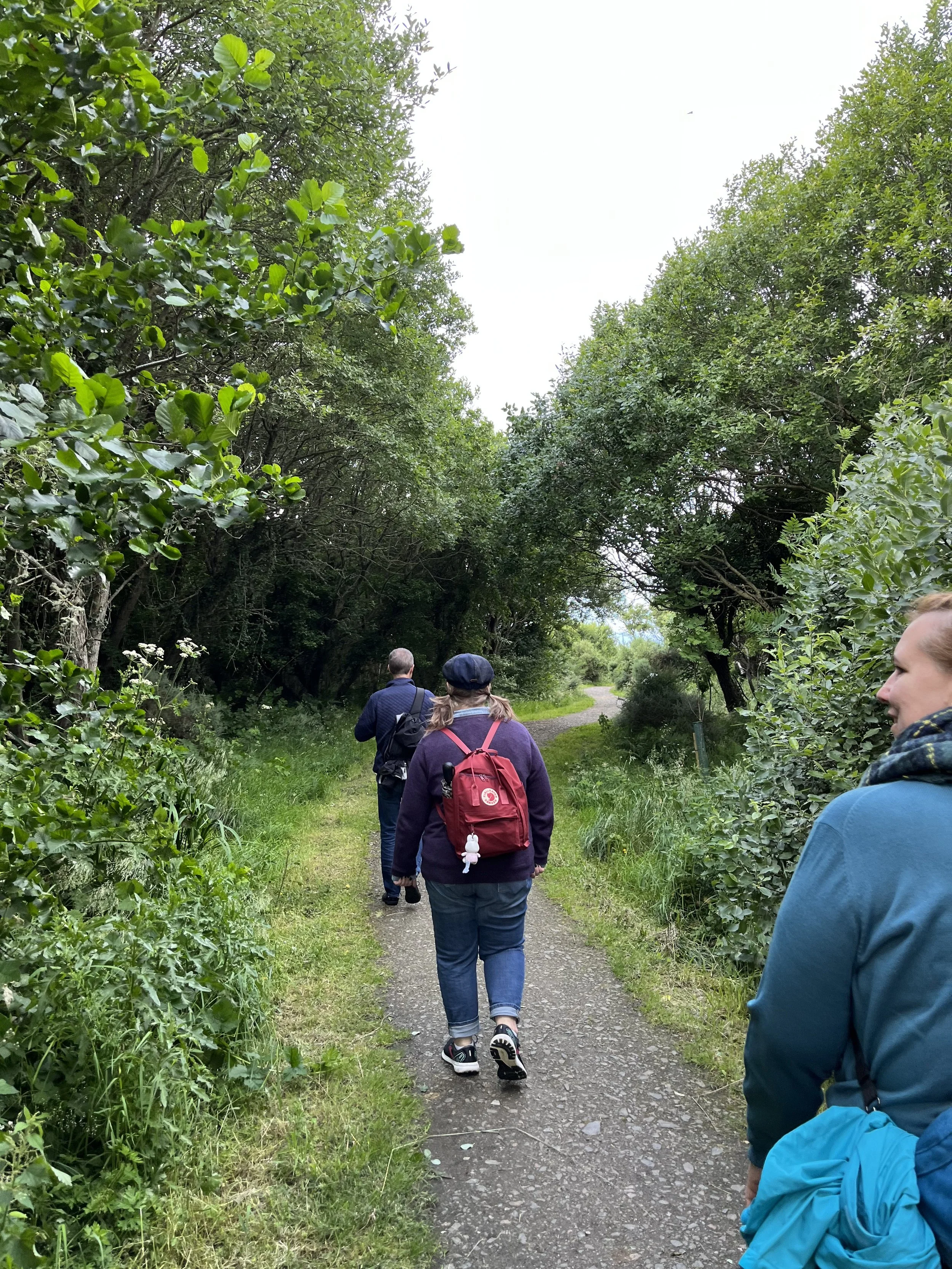 Group of people walking along a grassy trail in a green, wooded area with trees on both sides.