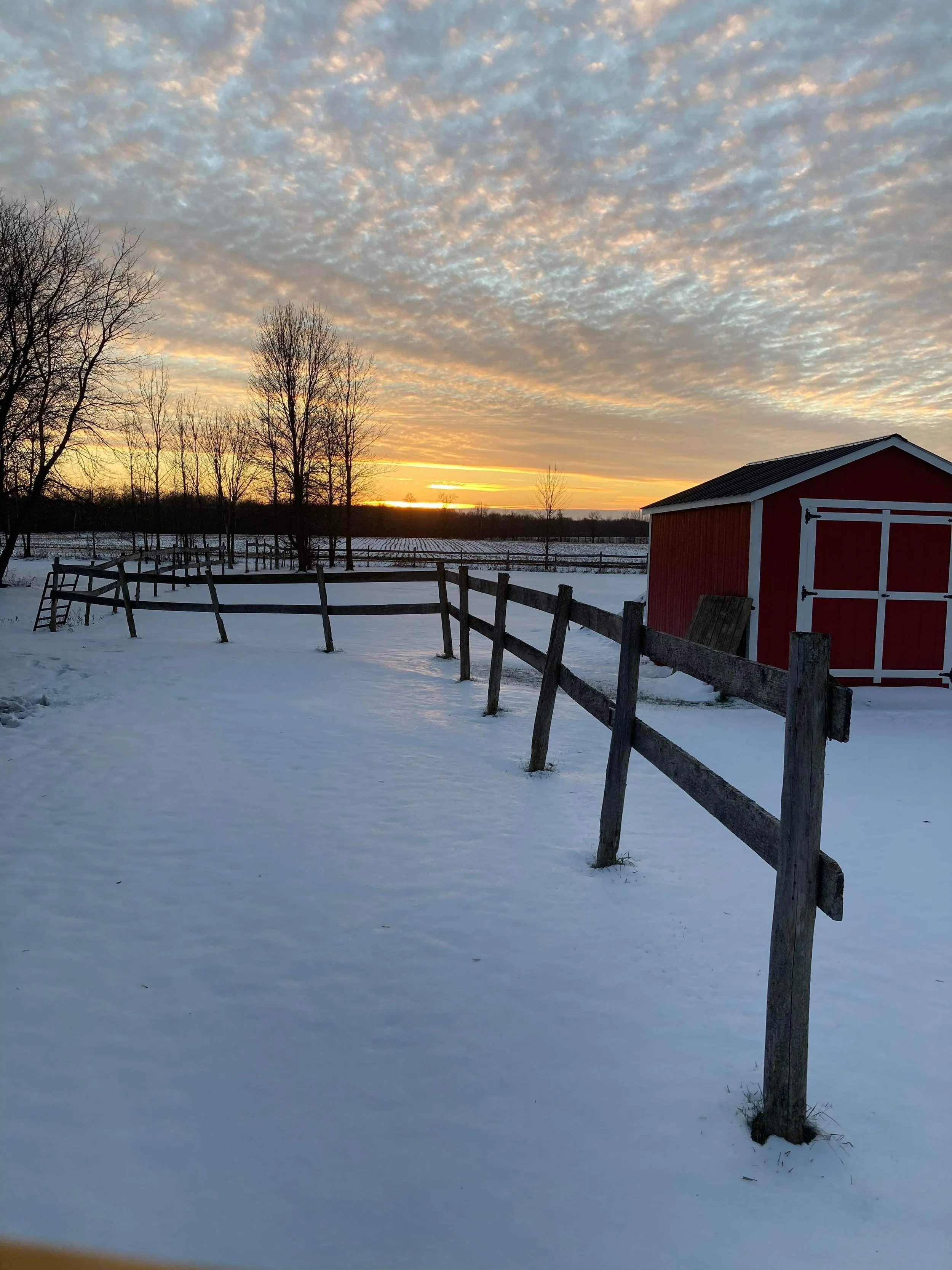 a winter time, sunset scene in the country. Old fence with a red barn.