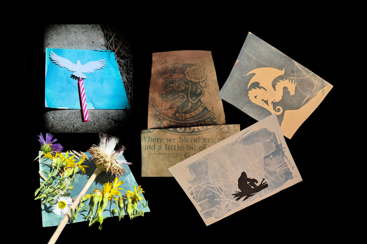 Cyanotype Art