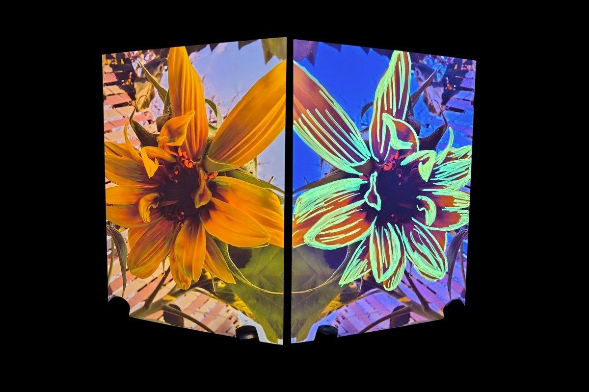 Glow Up: UV Reactive Art