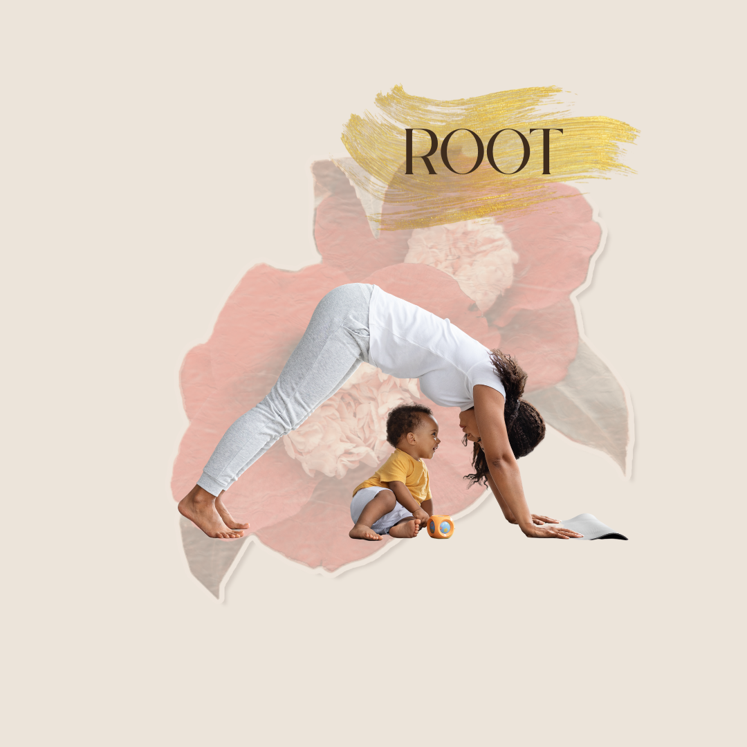 ROOT Session - à la carte