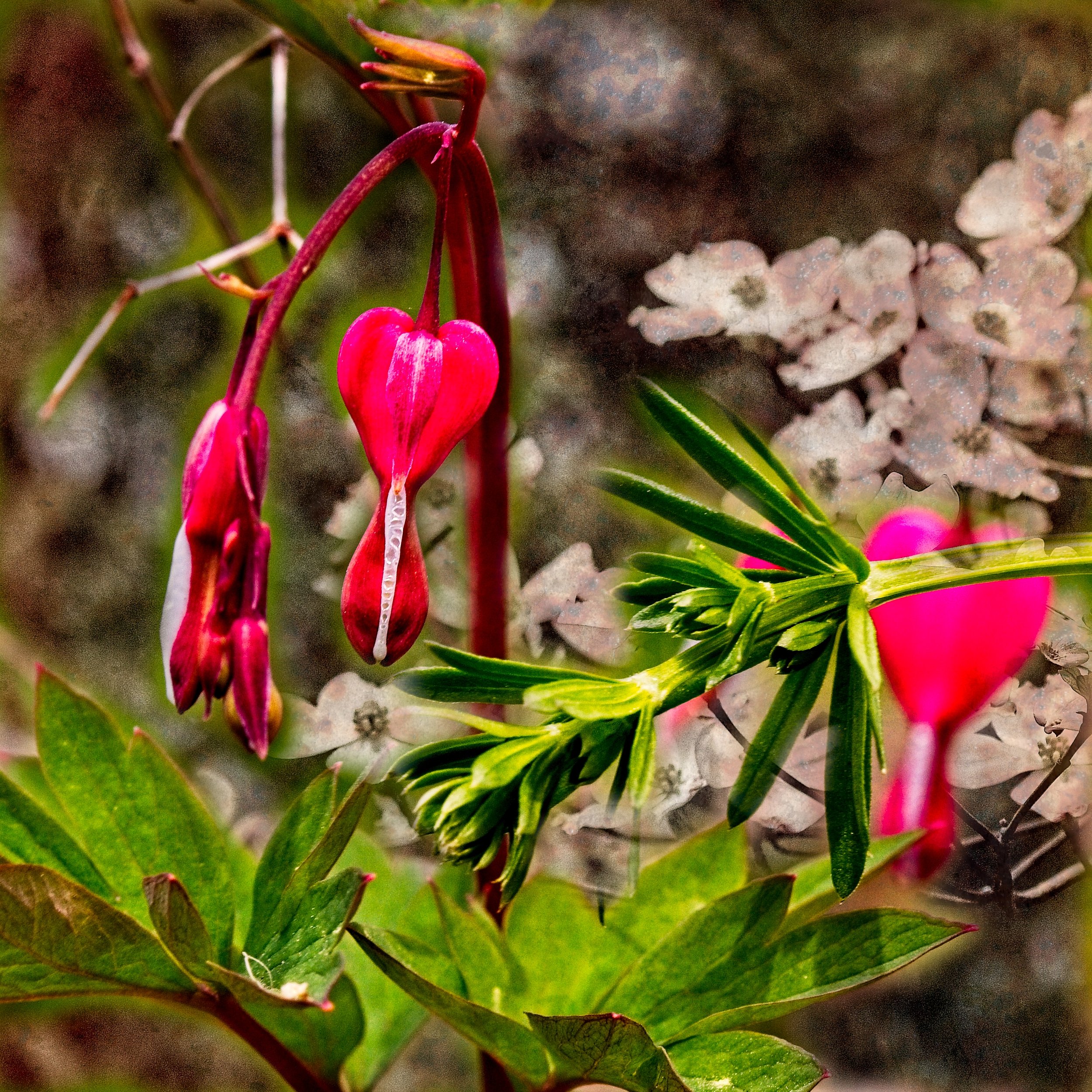 Late auntumn photo  21.jpg