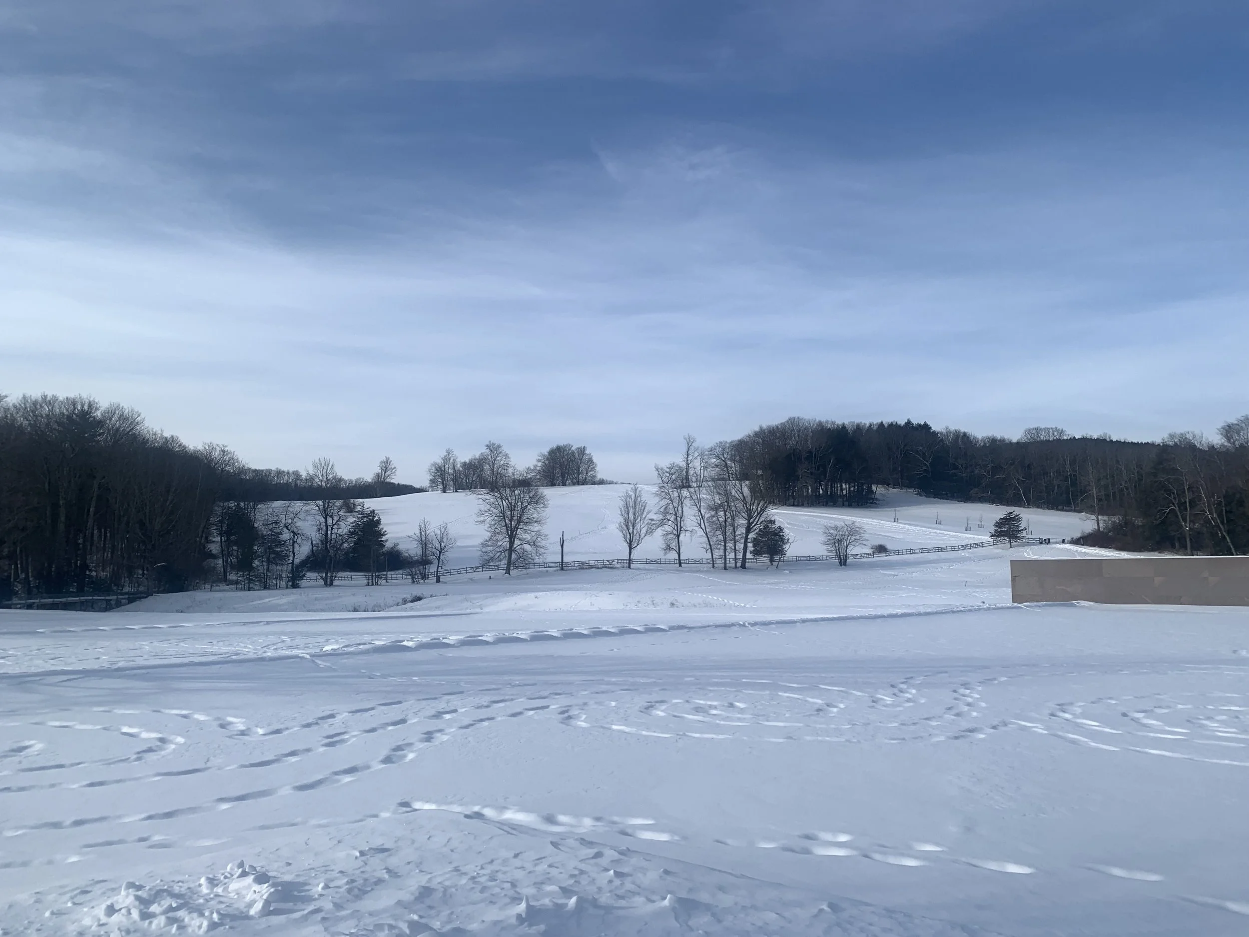 Late winter astronomy 