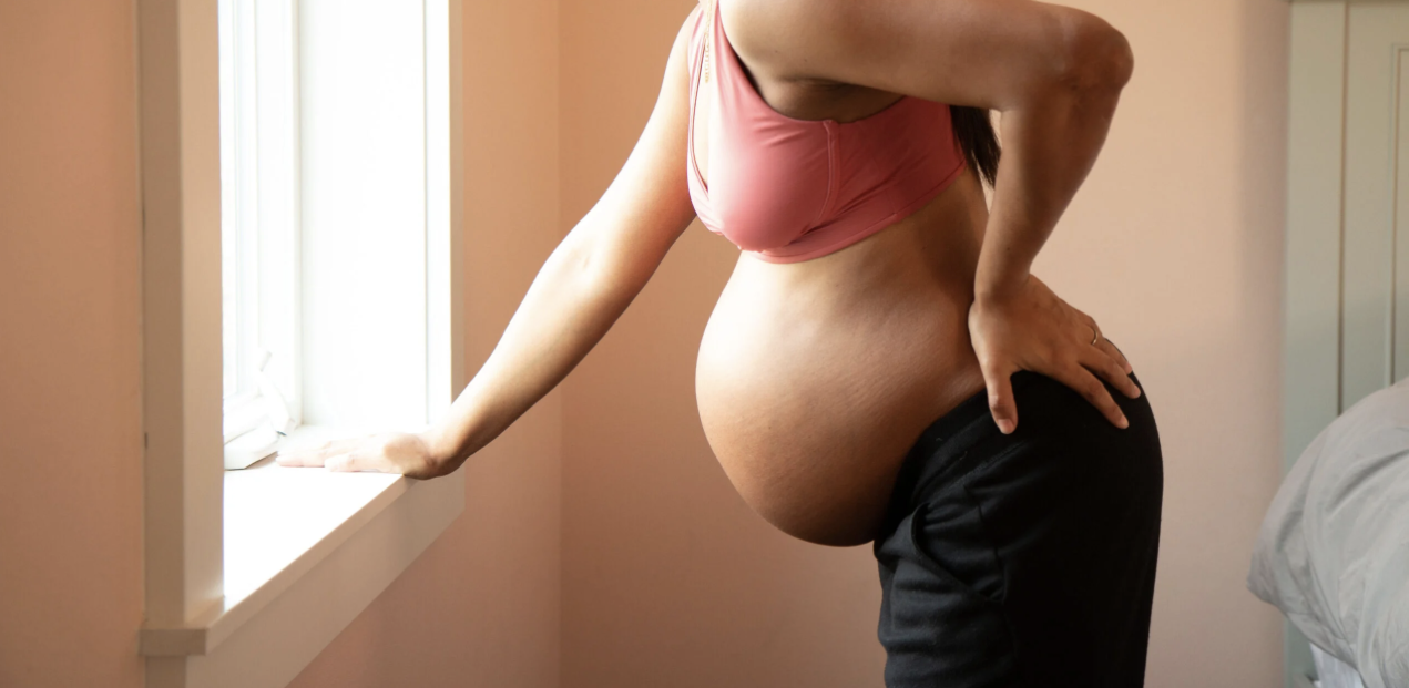 🌱 The Seed Package