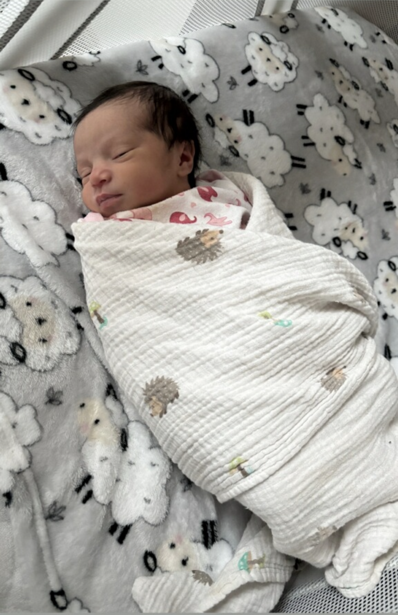 🌾 The Nurture Package