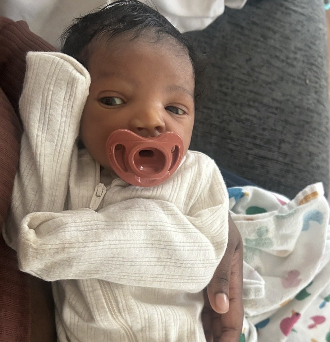 🌳 The Flourish Package