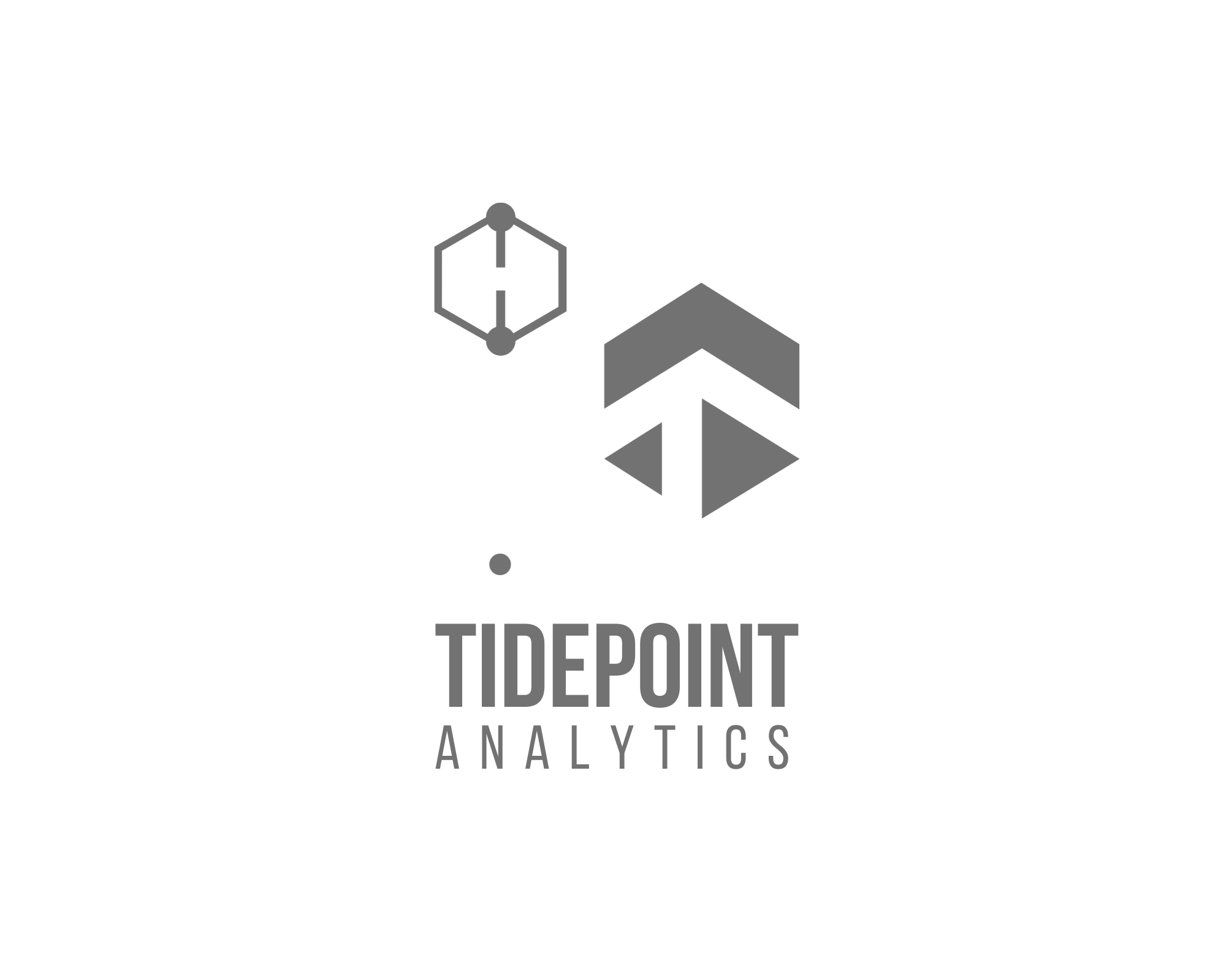 Tidepoint Analytics, Principal, Feb 2025 - Present