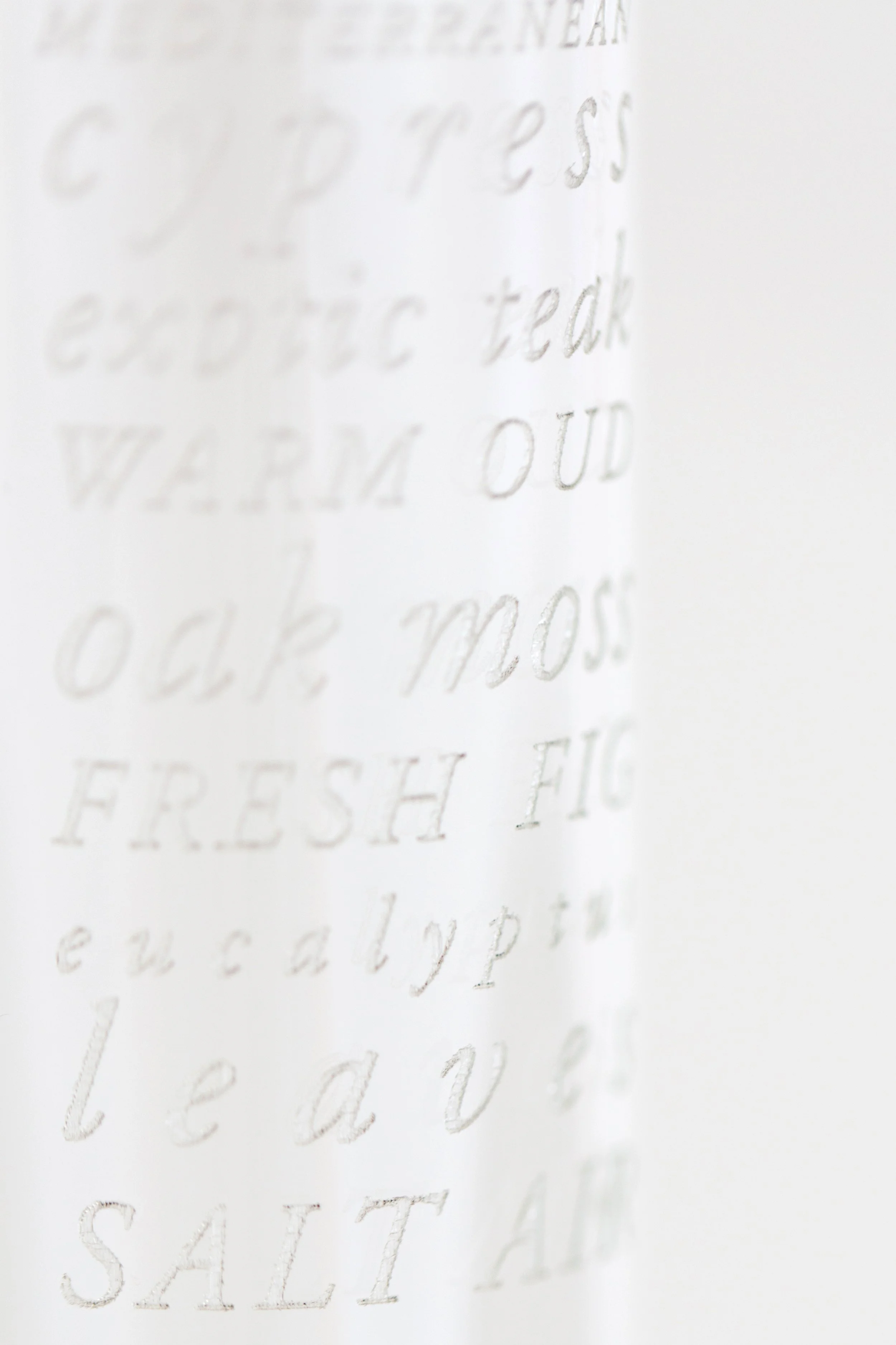 ALOS-final-1028 copy.jpg