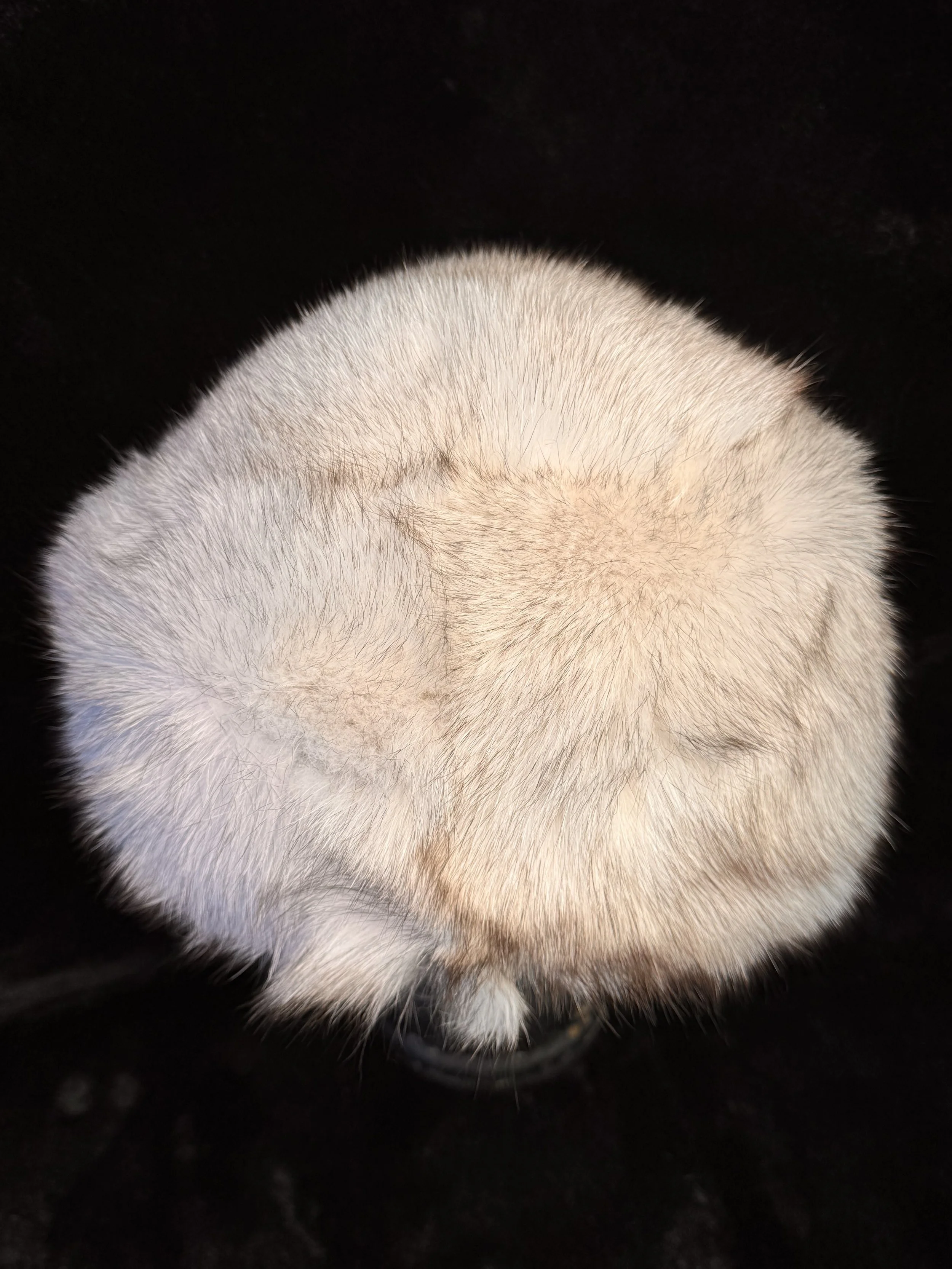 Blue fox fur hat