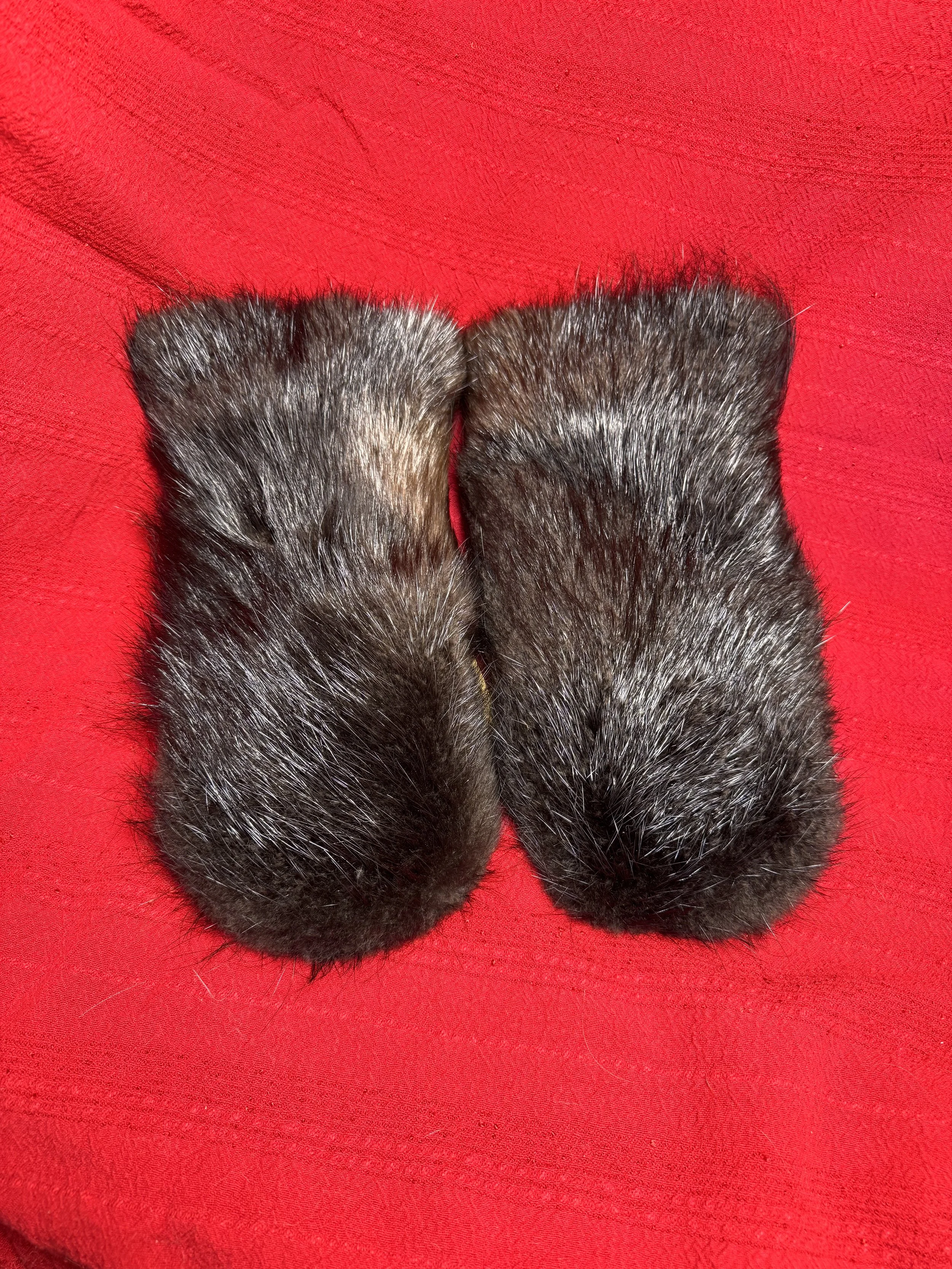 Beaver fur mushers