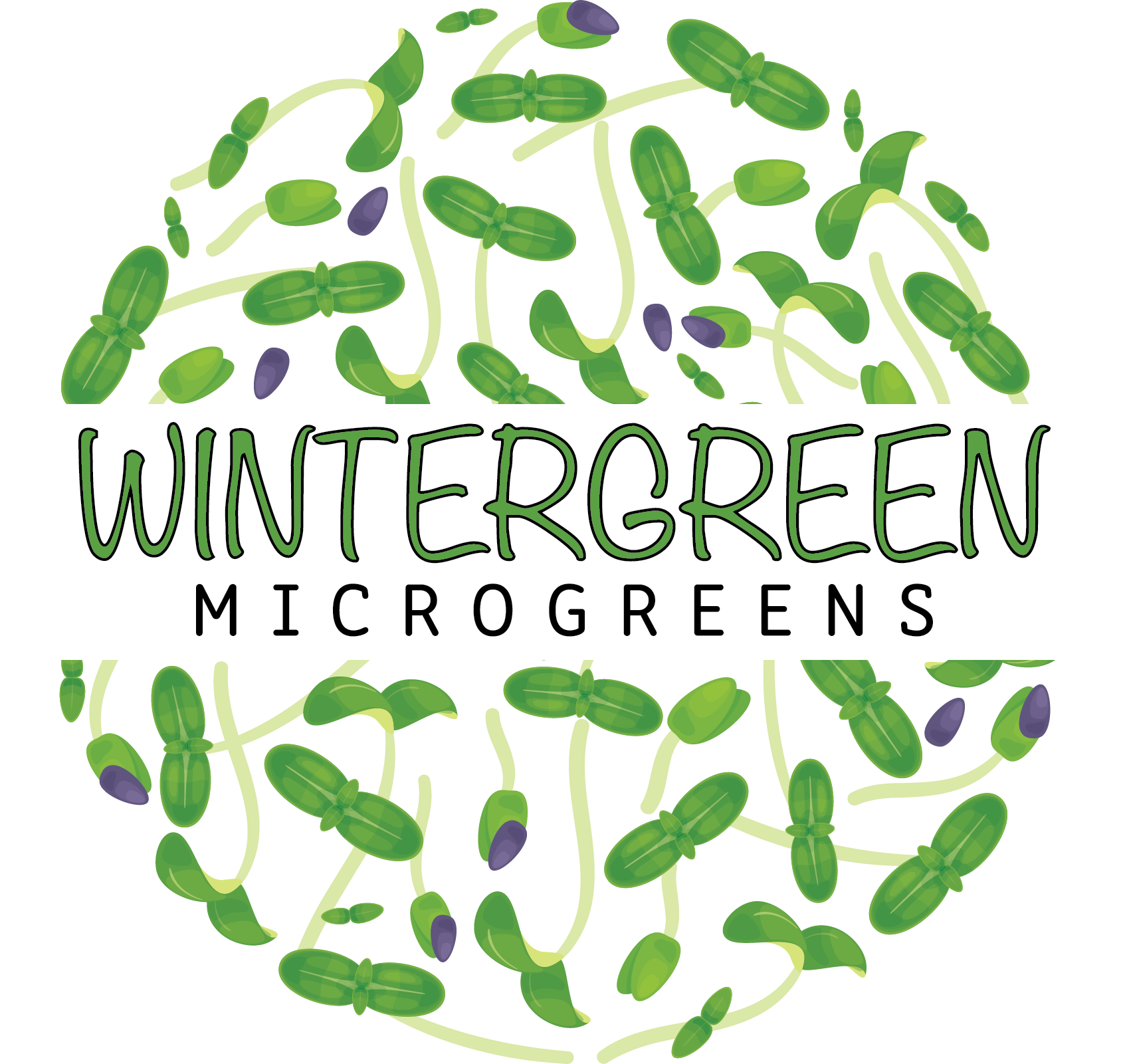 WinterGreenMicrogreens1.24.26.png