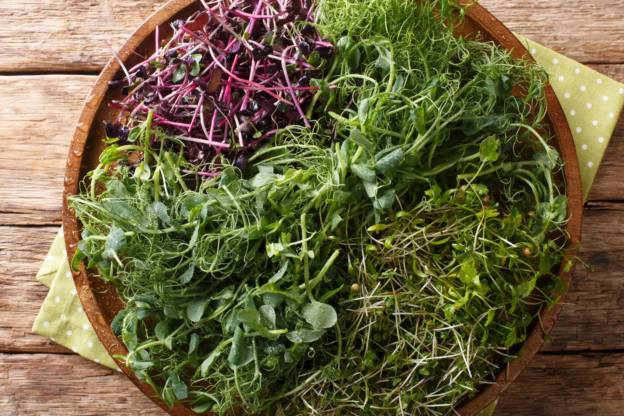 Powerhouse Microgreens Mix