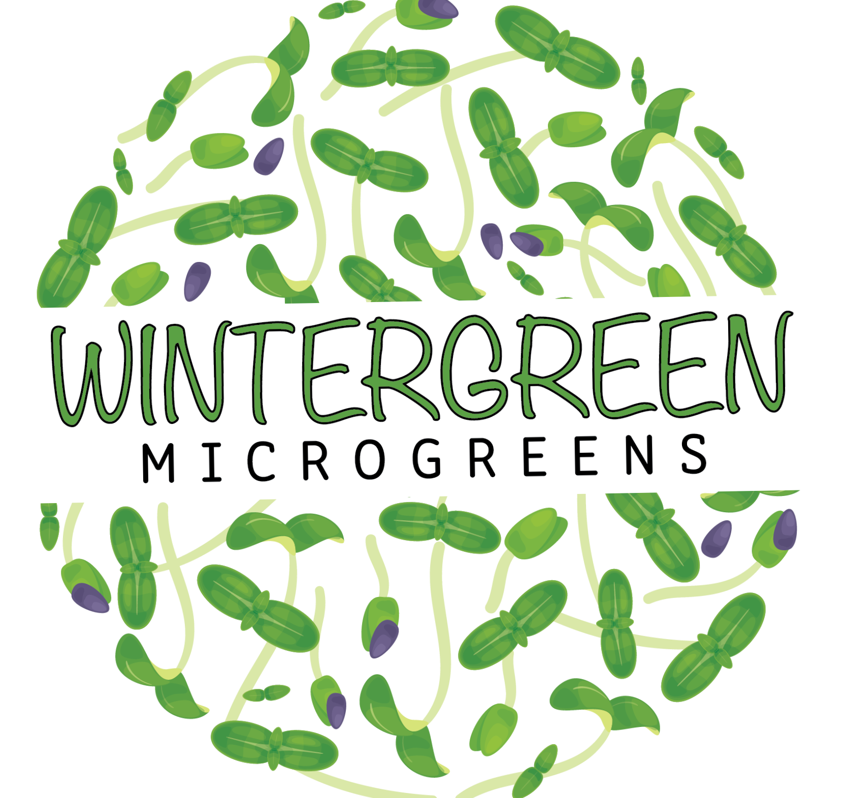 Pick up WPAFB Area B