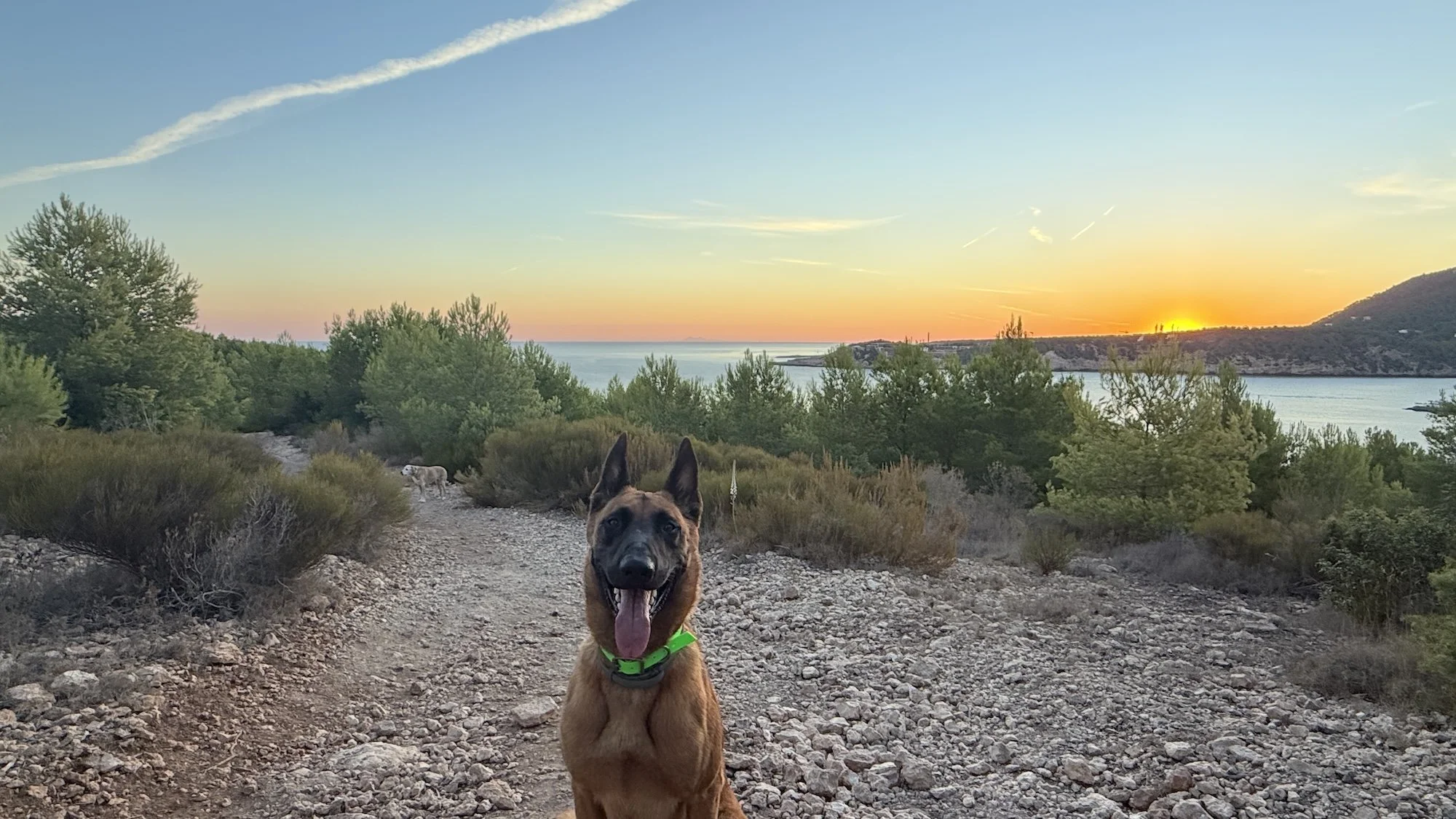 sunrise in Ibiza with a reactive dog