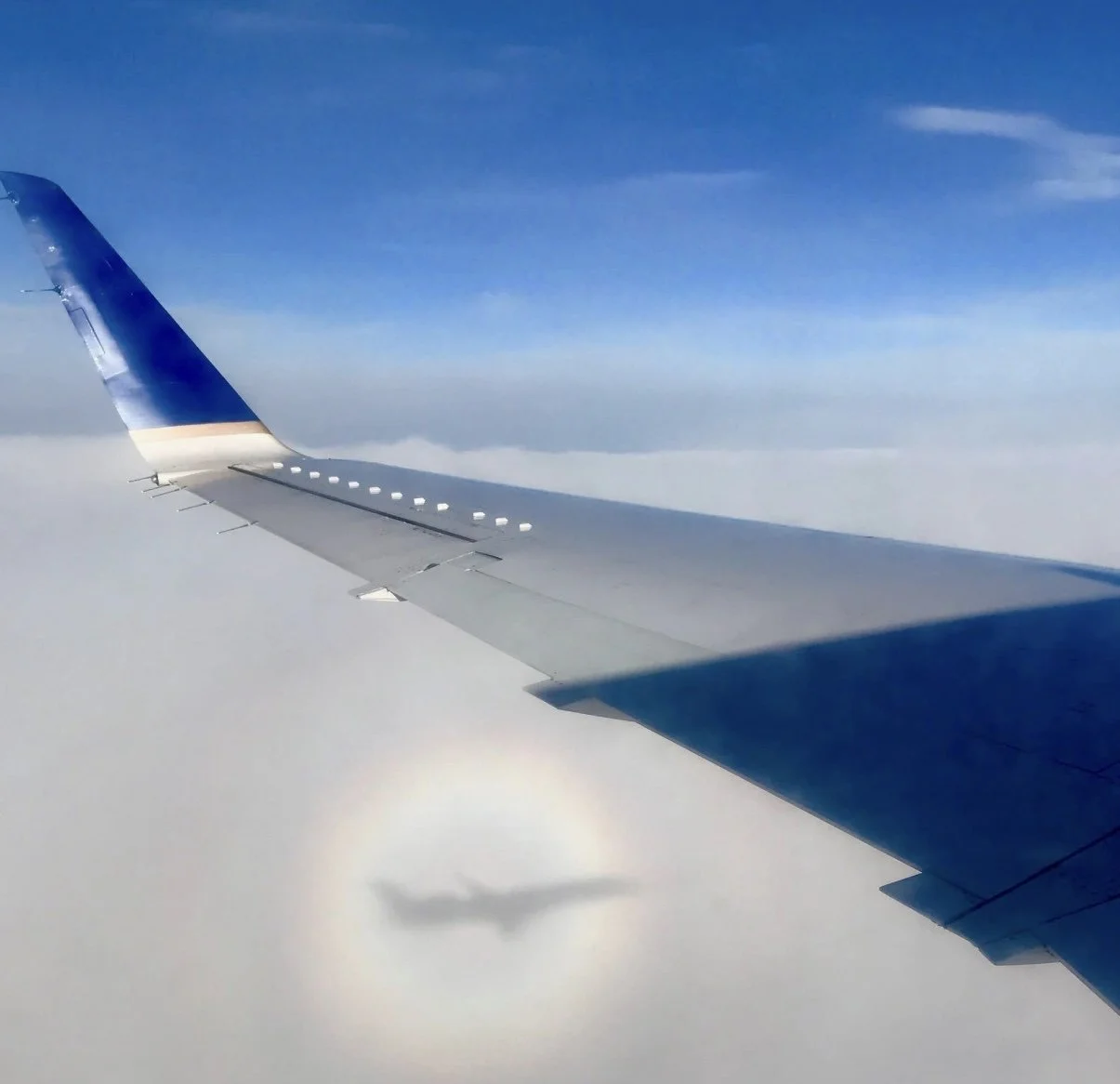View of an airplane wing flying above the clouds with a rainbow halo around the shadow of the airplane projected onto the cloud layer.