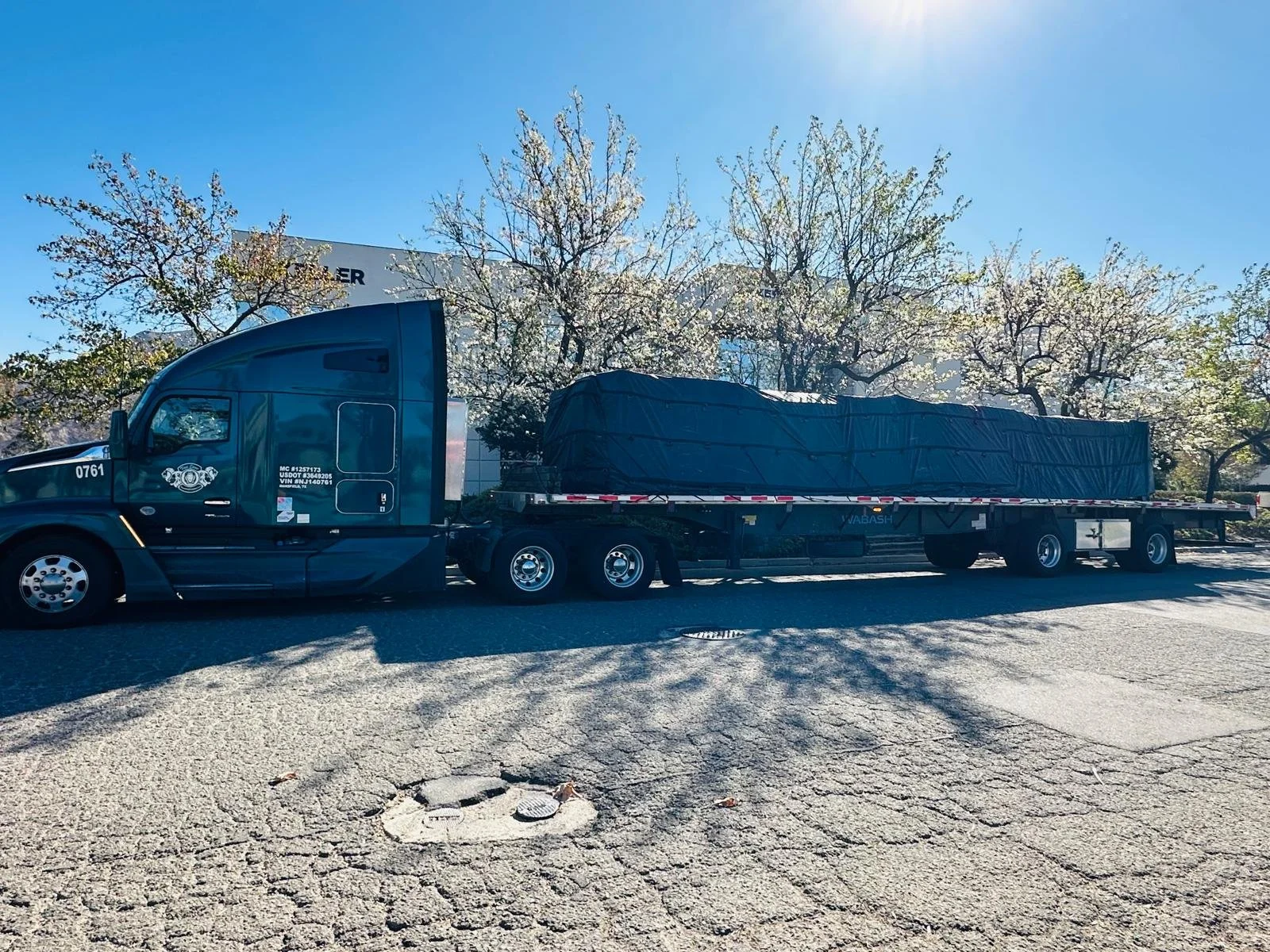 WhatsApp Image 2026-01-28 at 11.15.46 PM.jpeg