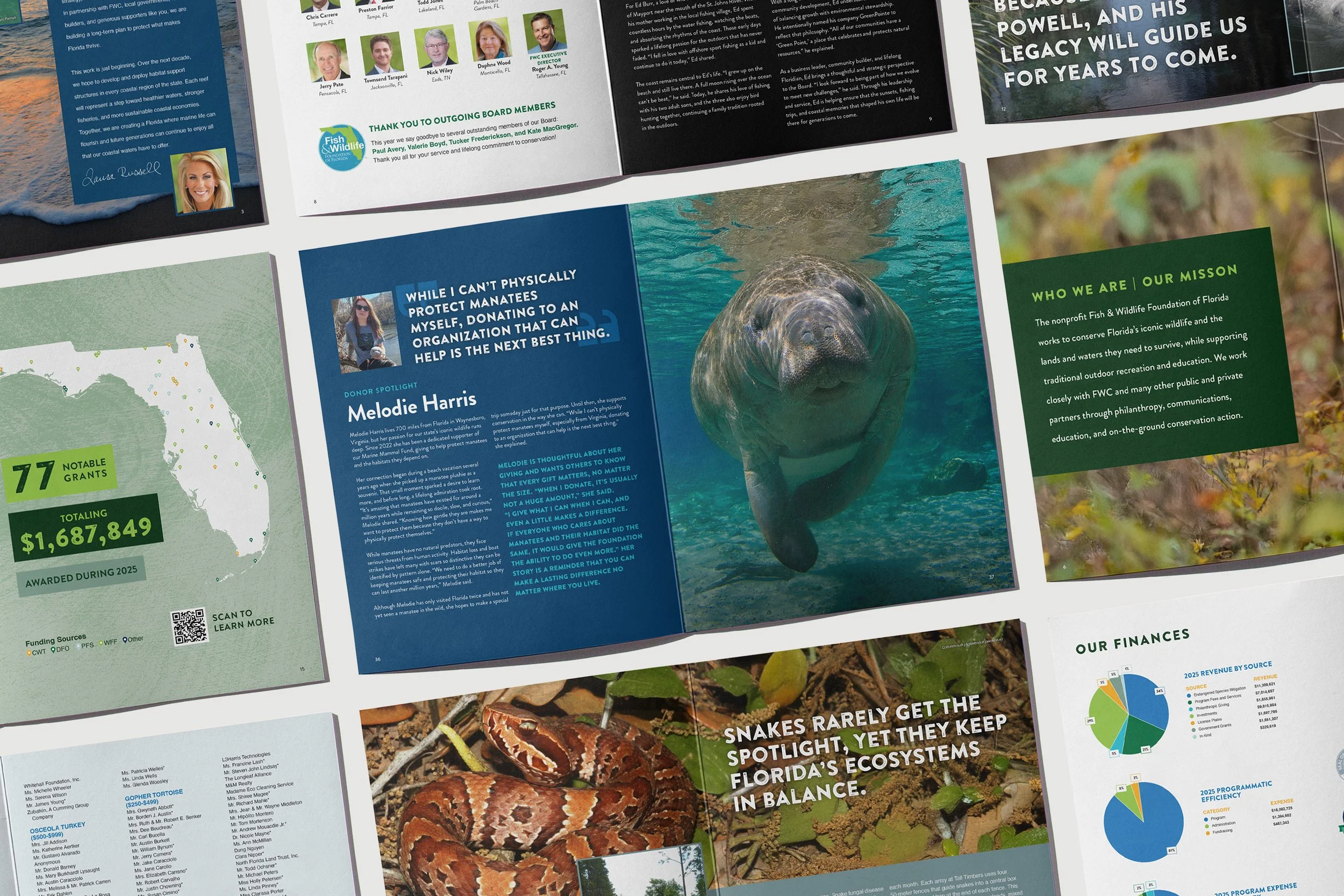 Fish & Wildlife Foundation of Florida