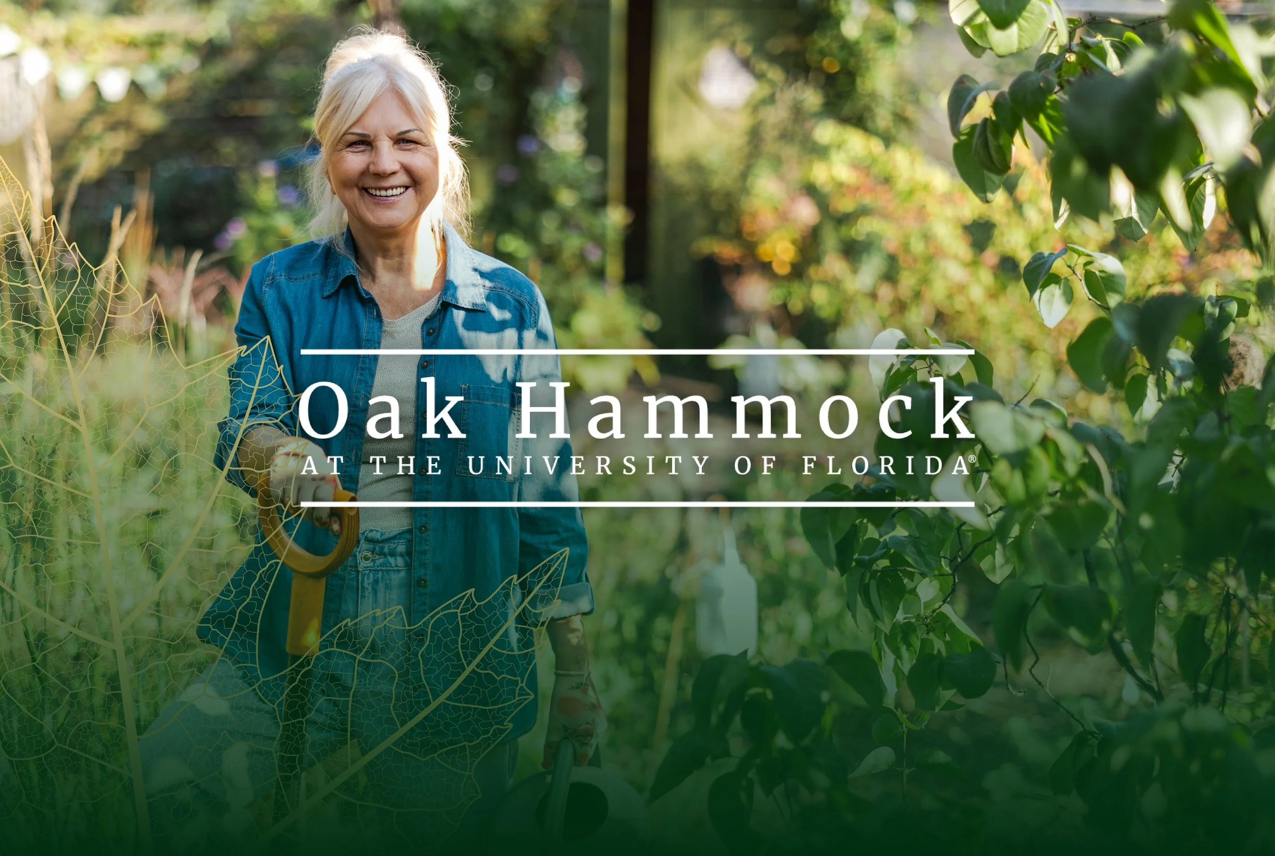 Oak Hammock