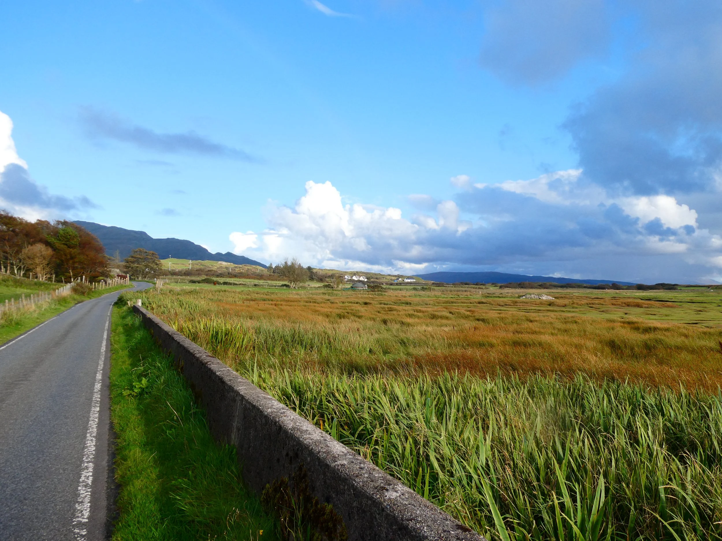 Scenic landscape with a small winding road bordered by a stone wall, green fields, a few houses in the distance, and a mountain range under a partly cloudy sky.