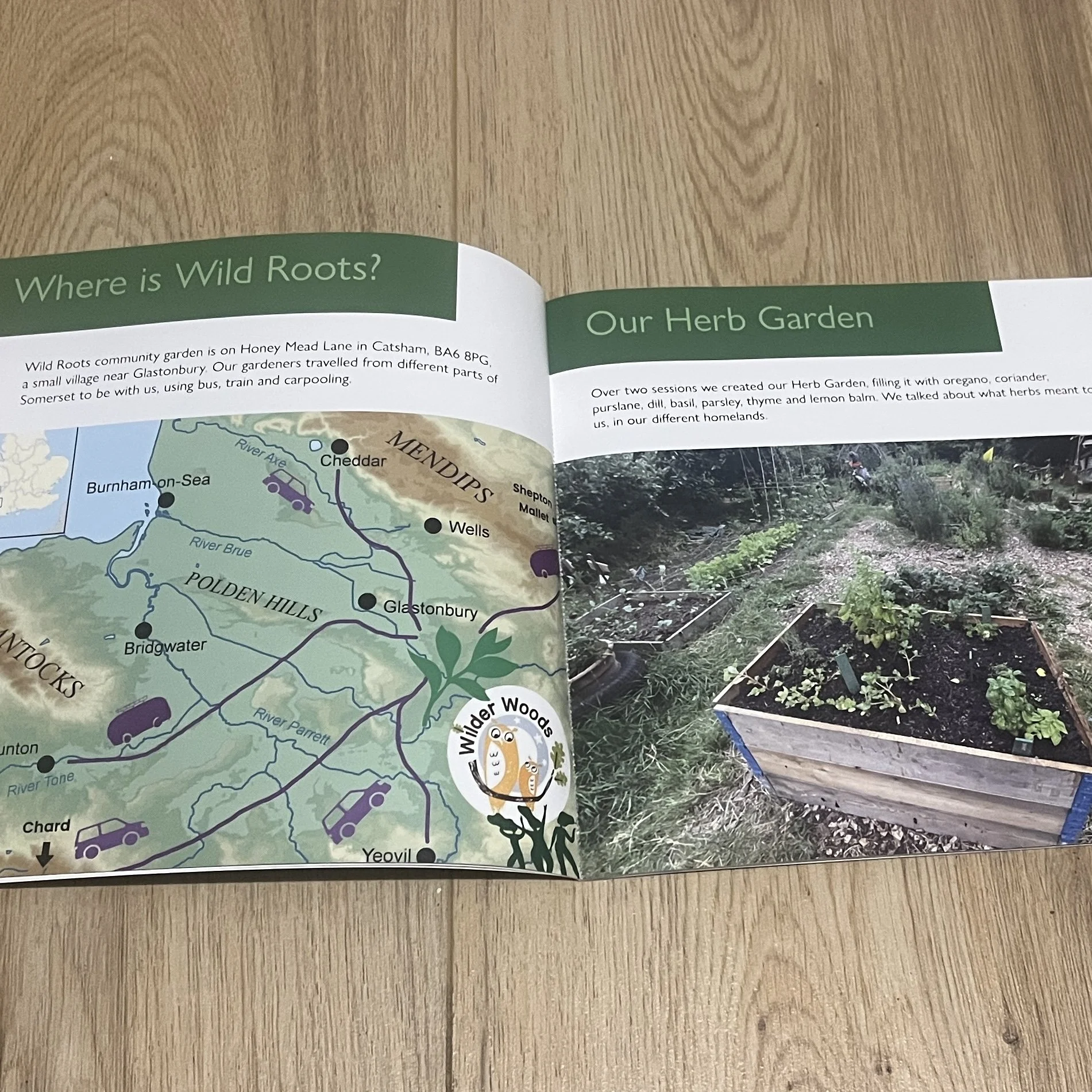 The importance of shared green space: Growing connections for newcomer and refugee women