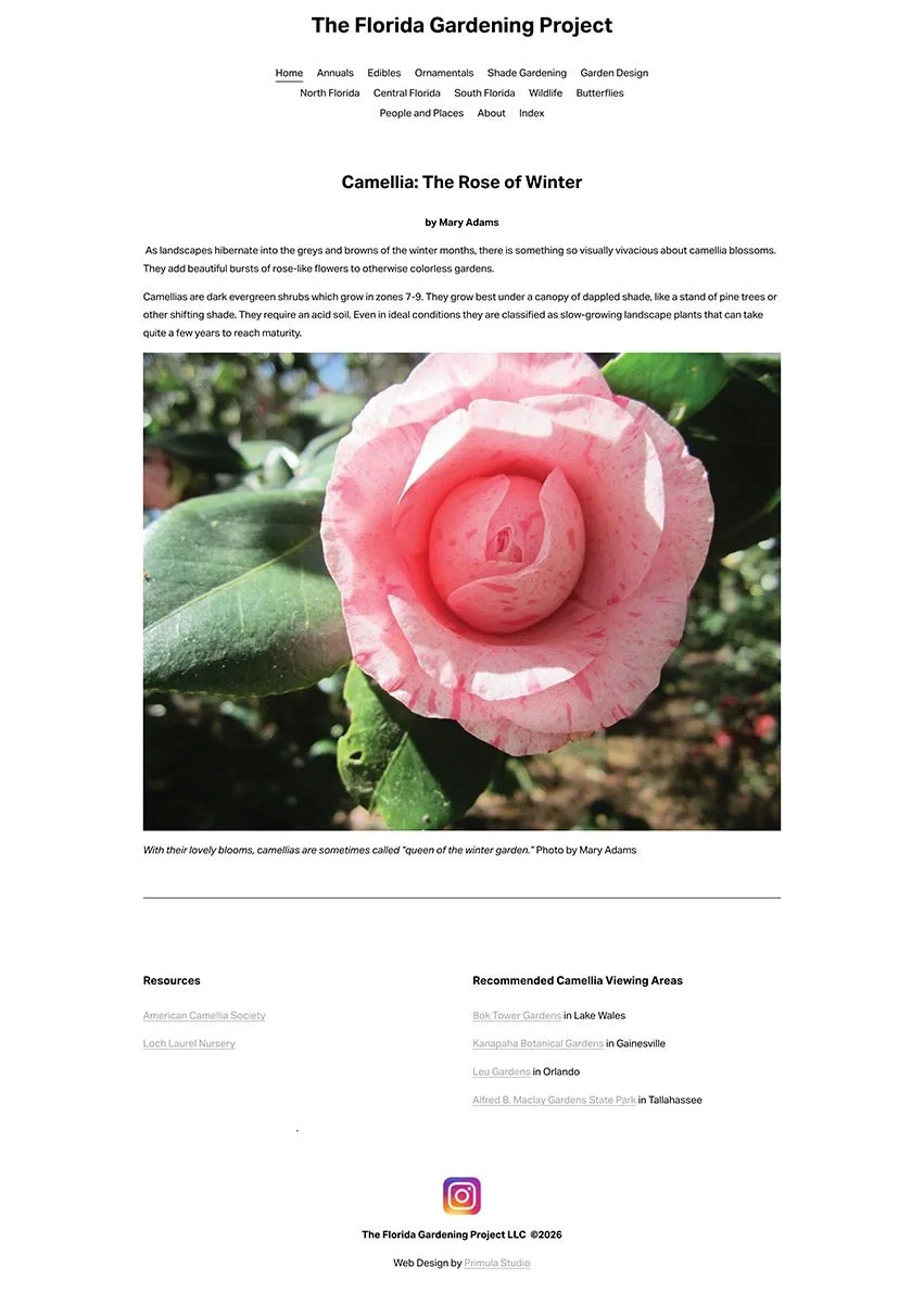 Primula Studio portfolio example (The Florida Gardening Project website)e)
