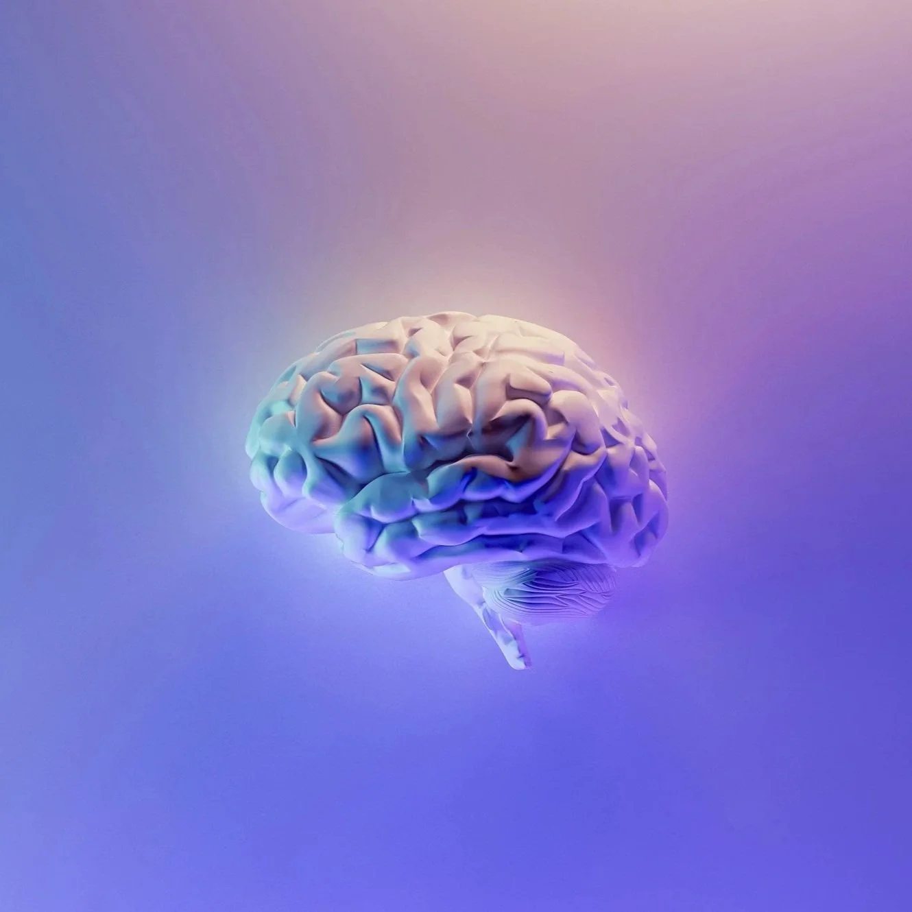 A 3D rendering of a human brain floating against a gradient background of purple, blue, and pink hues.