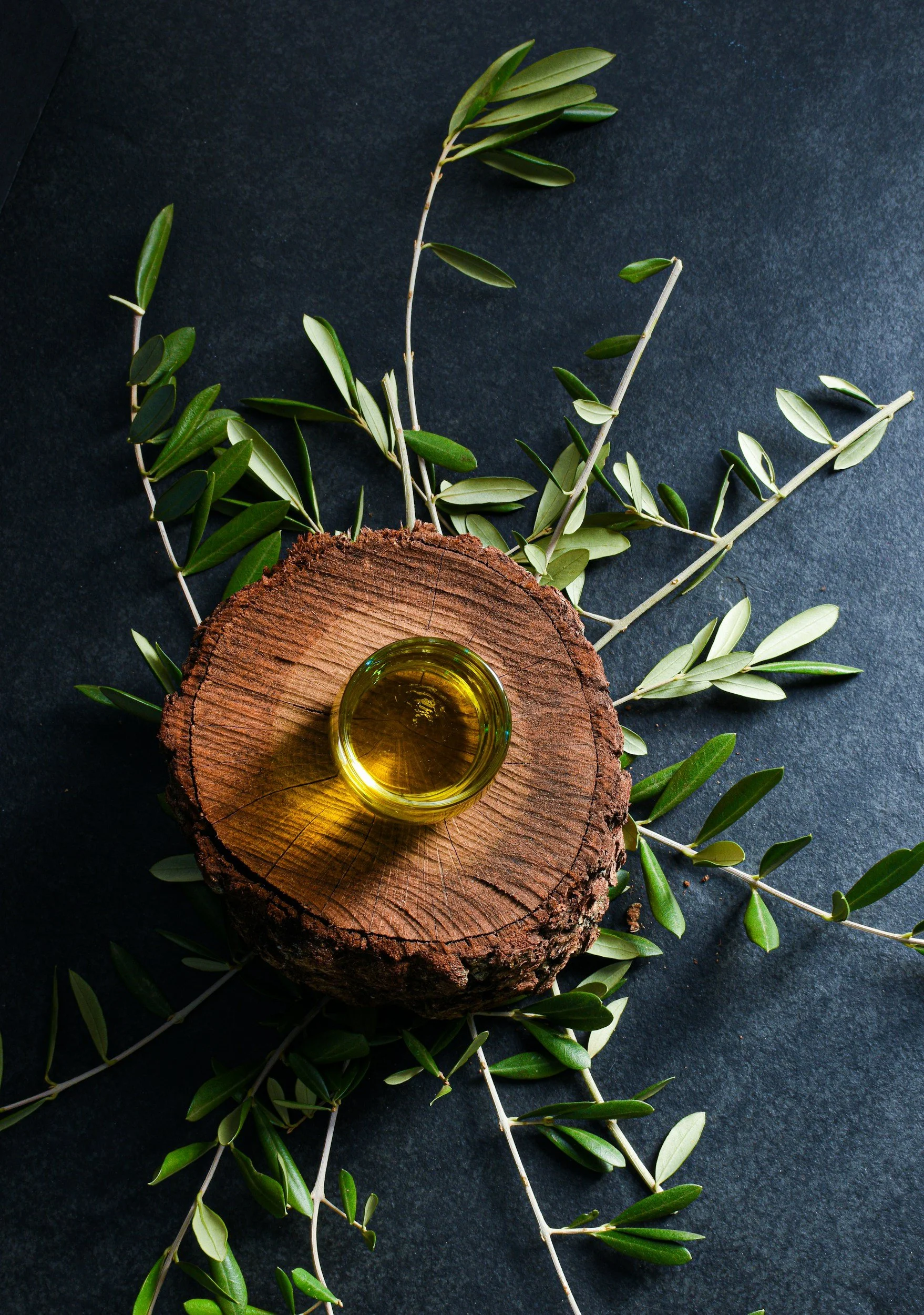 Olive branch with green leaves surrounding a small glass bowl of olive oil on a wooden log slice on a dark surface.