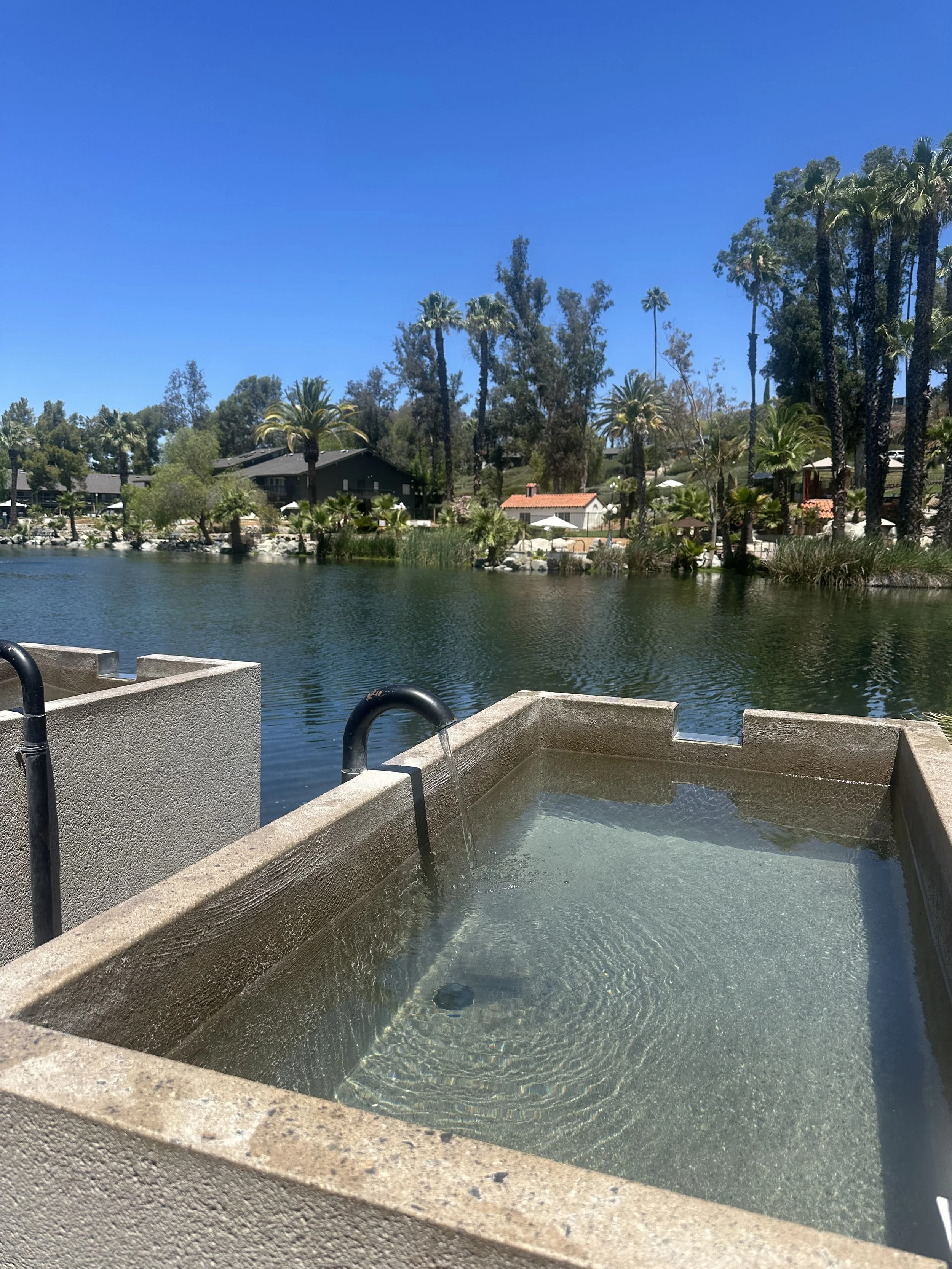 IMG_0695.jpeg