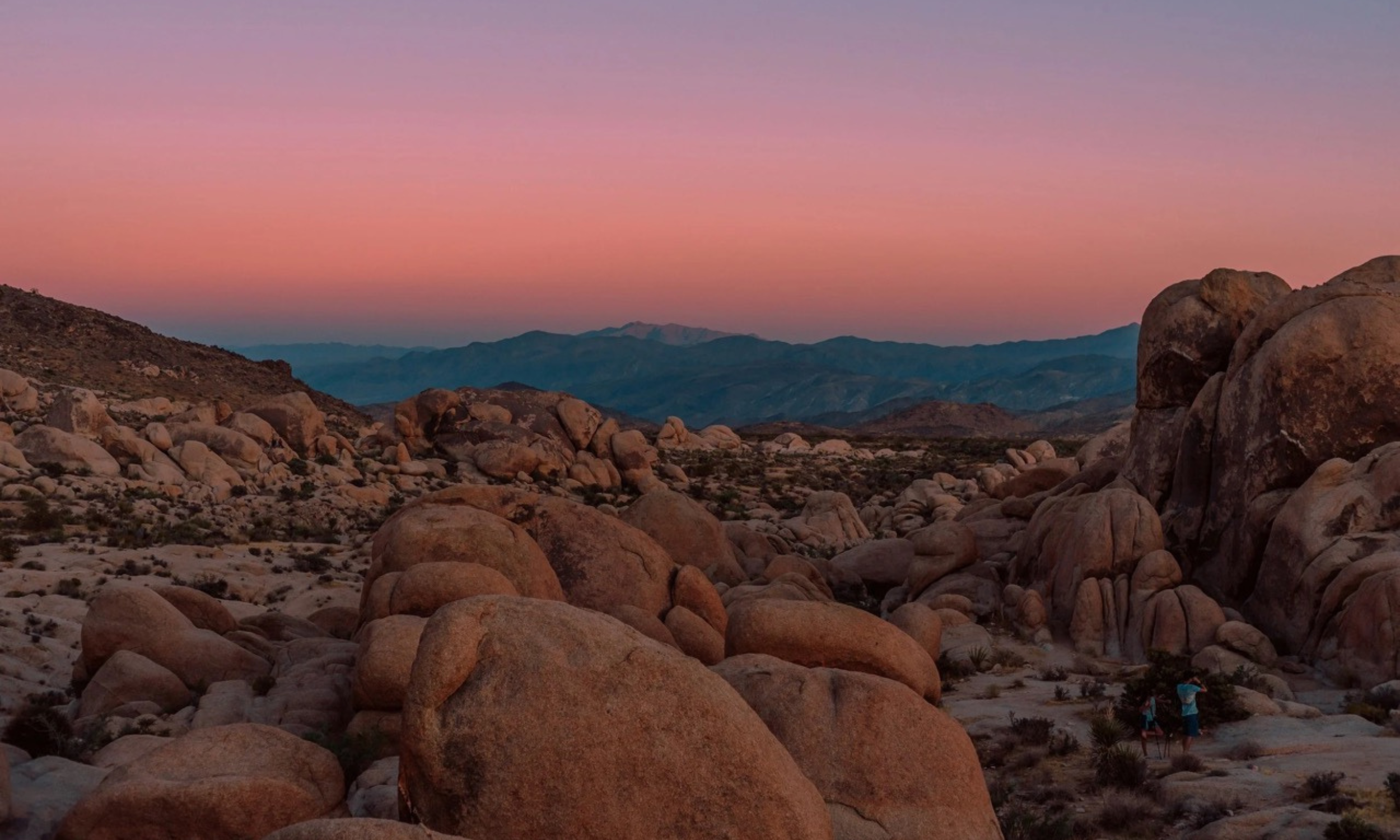 The Joshua Tree Travel Guide: Where to Eat, Stay and Explore