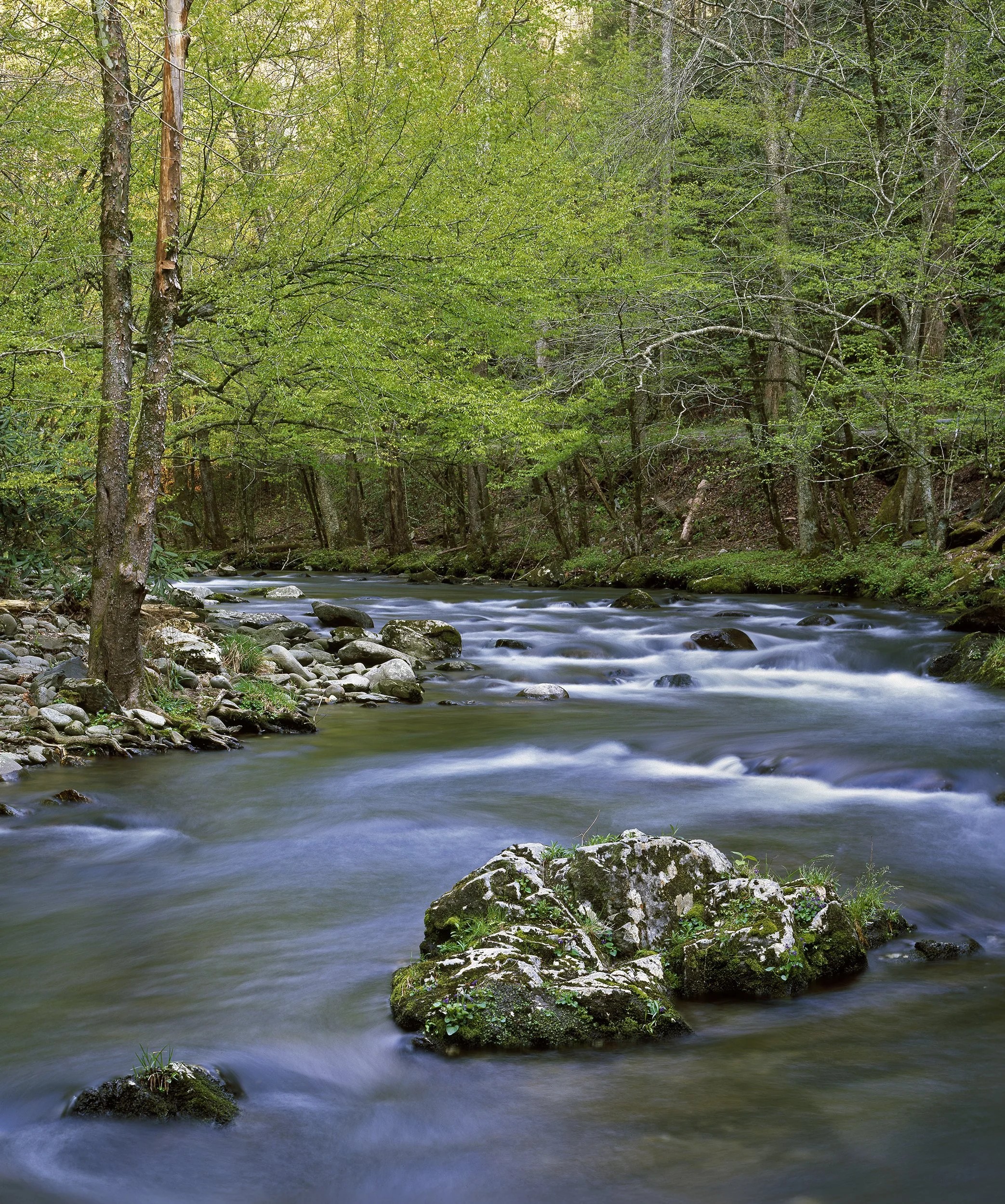 stream small.jpg