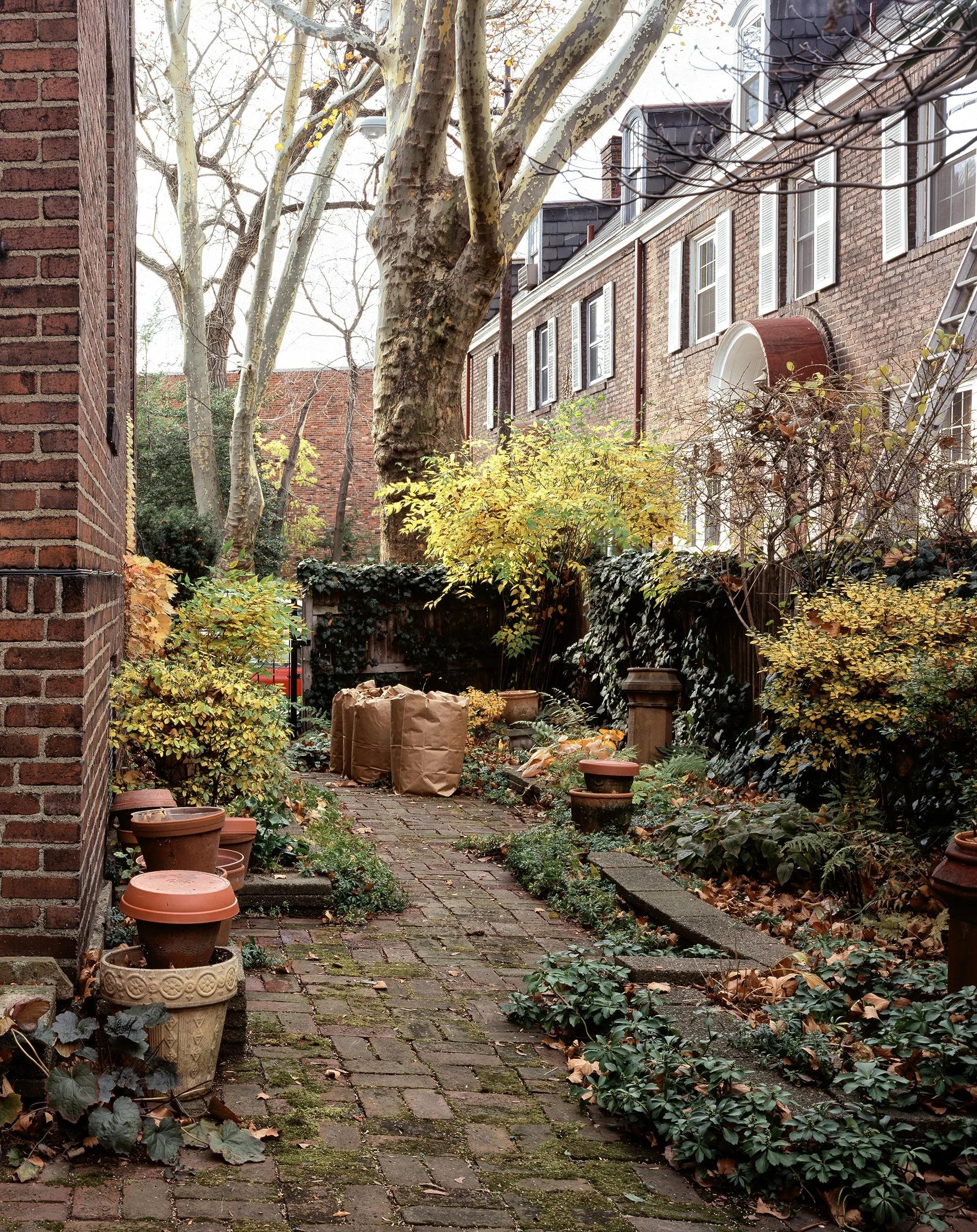 Grandma backyard small.jpg