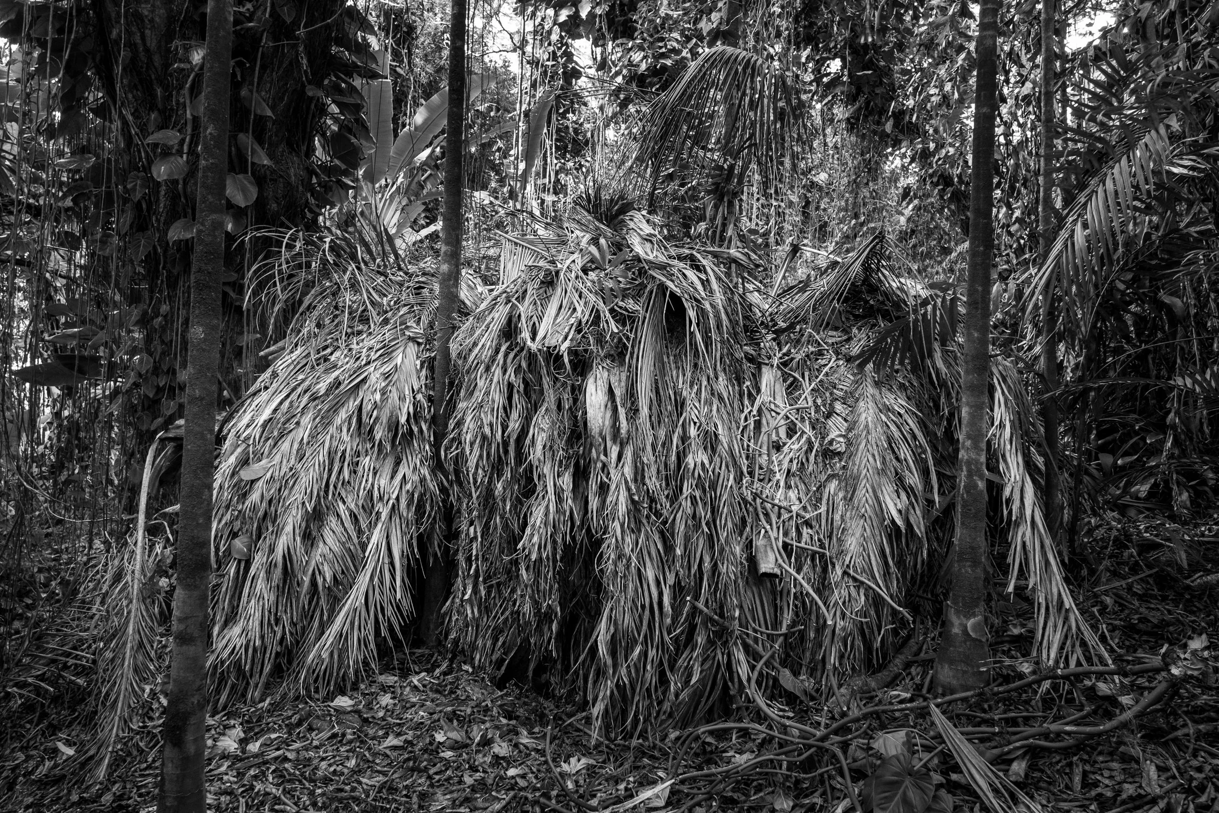 Merwin Piles (web) (1 of 4) (1).jpg