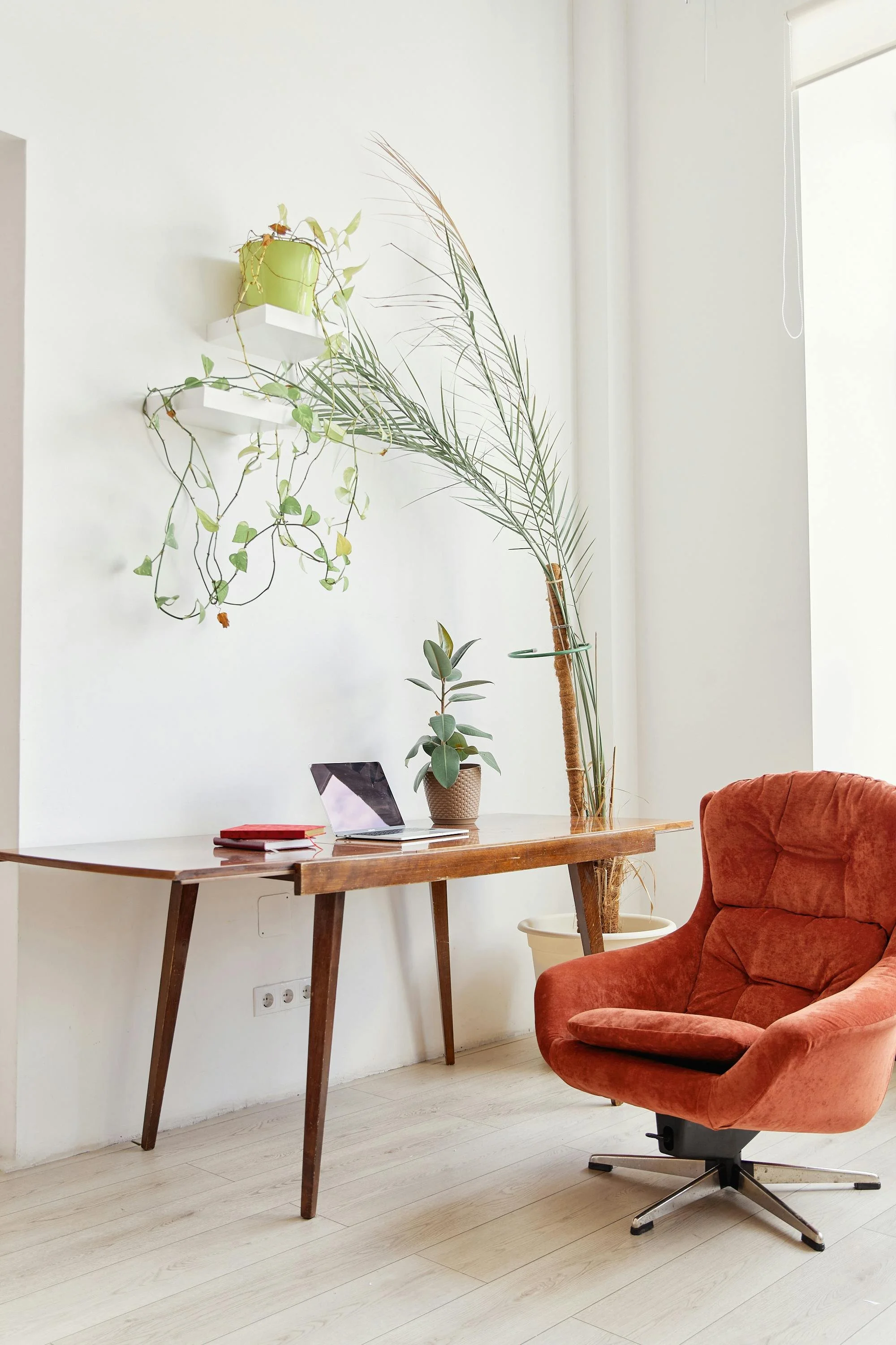 Online therapy Louisiana