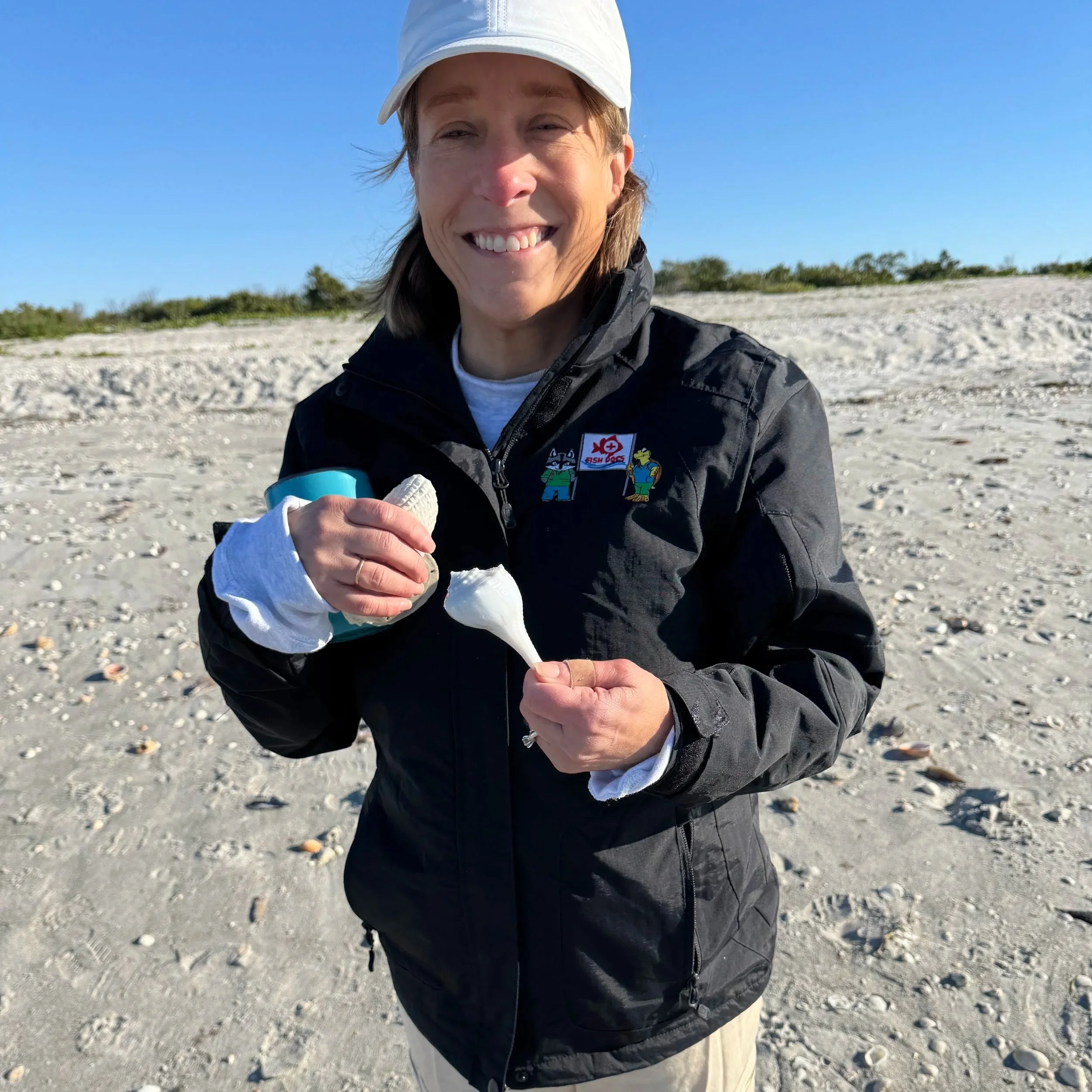 Beautiful Whelk Found by Amy