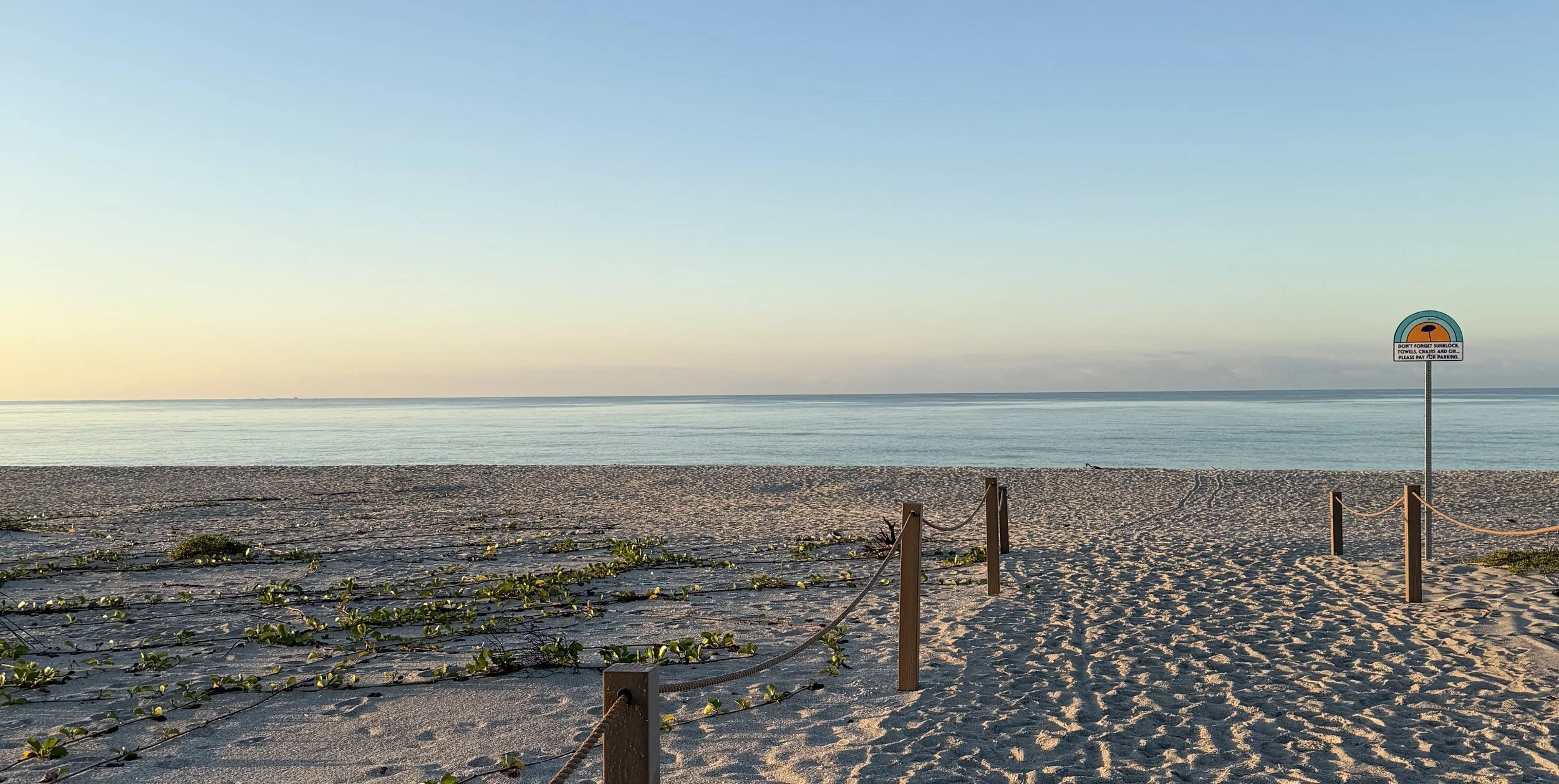 TheSeaChickenSunrise