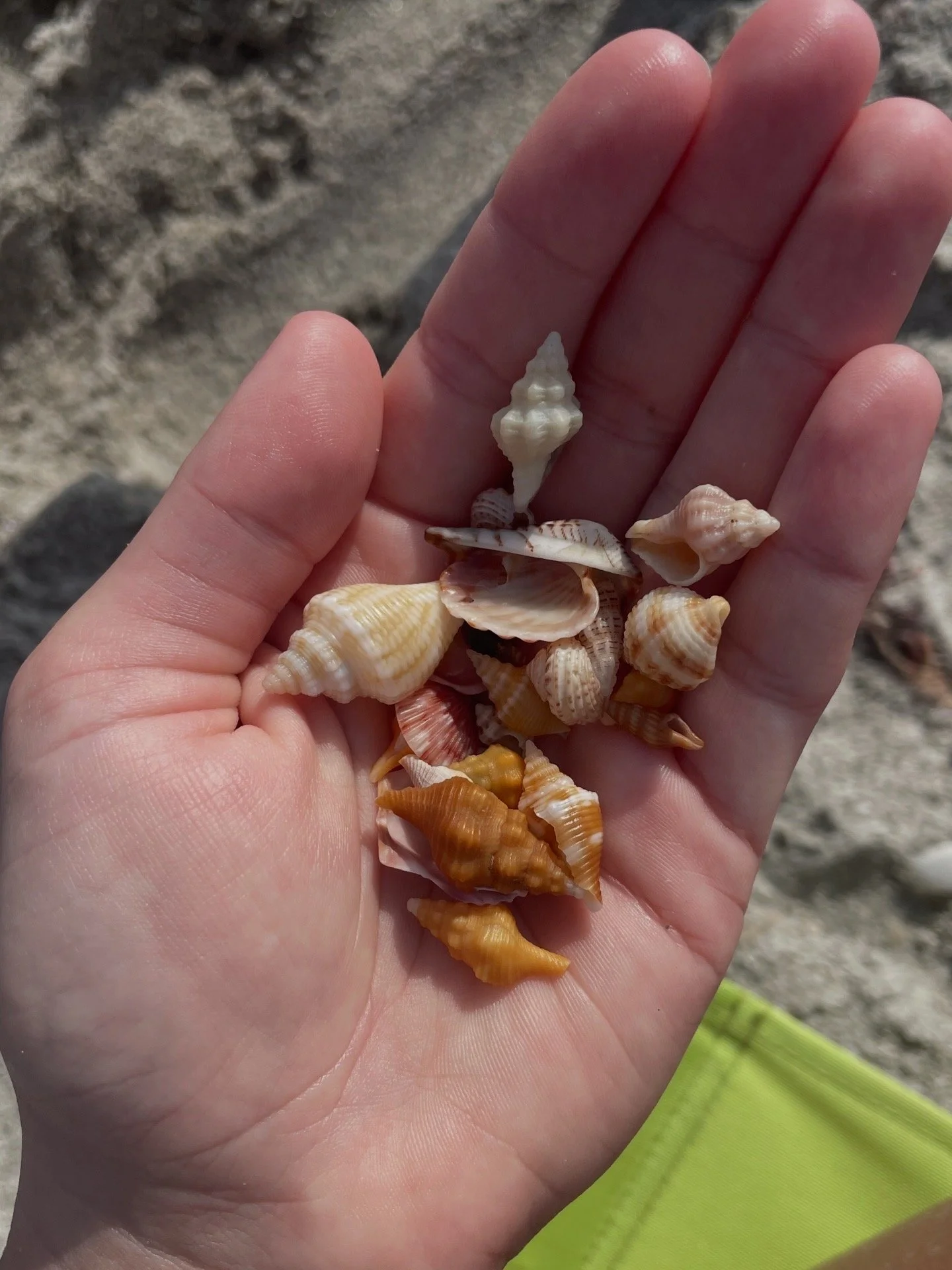 Mini Shells