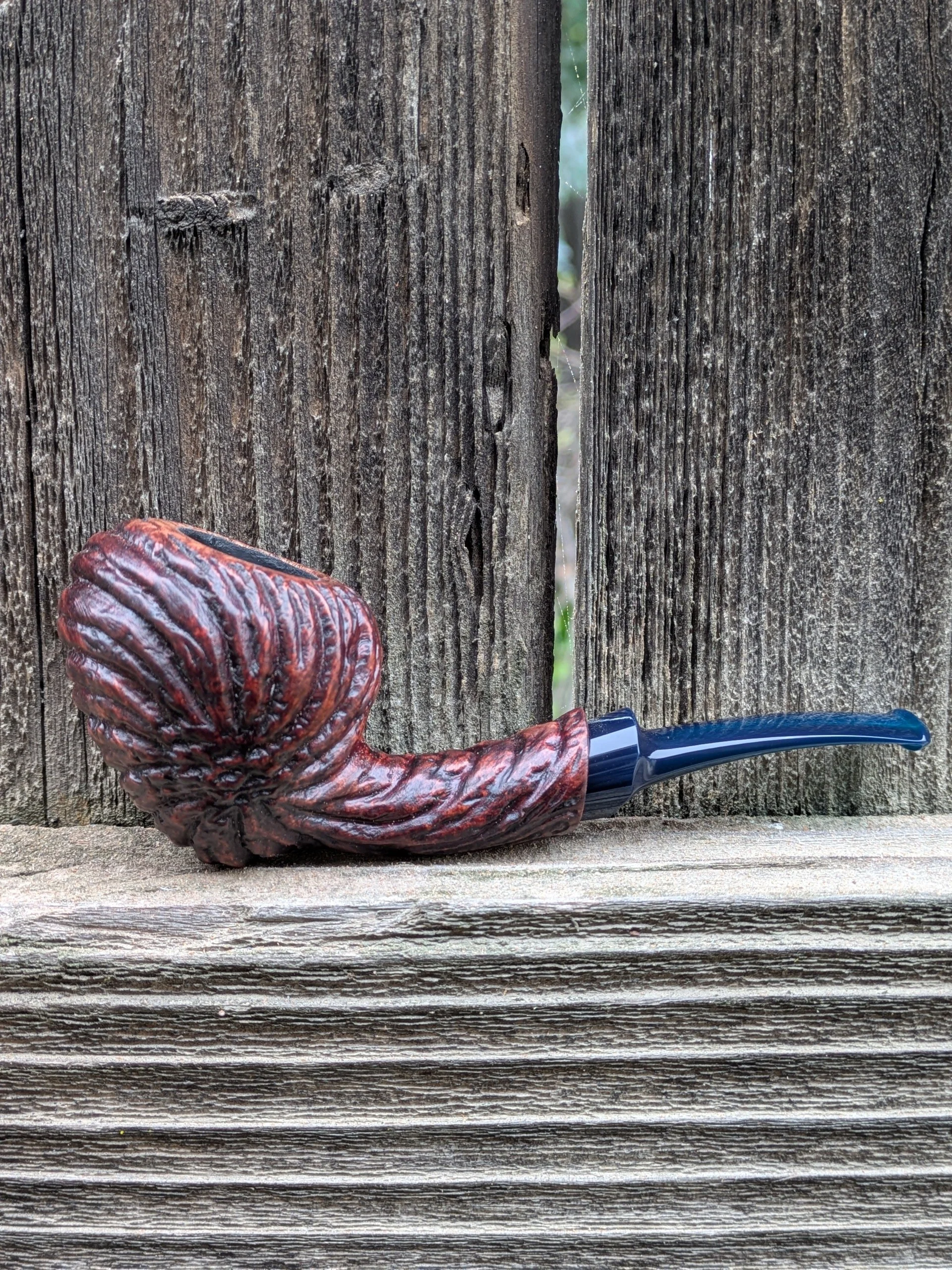 Weathered Acorn with Resin