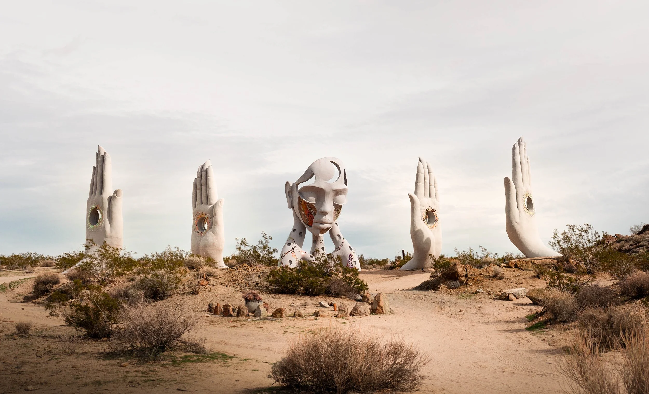 Photo of "Transmission" by Daniel Popper