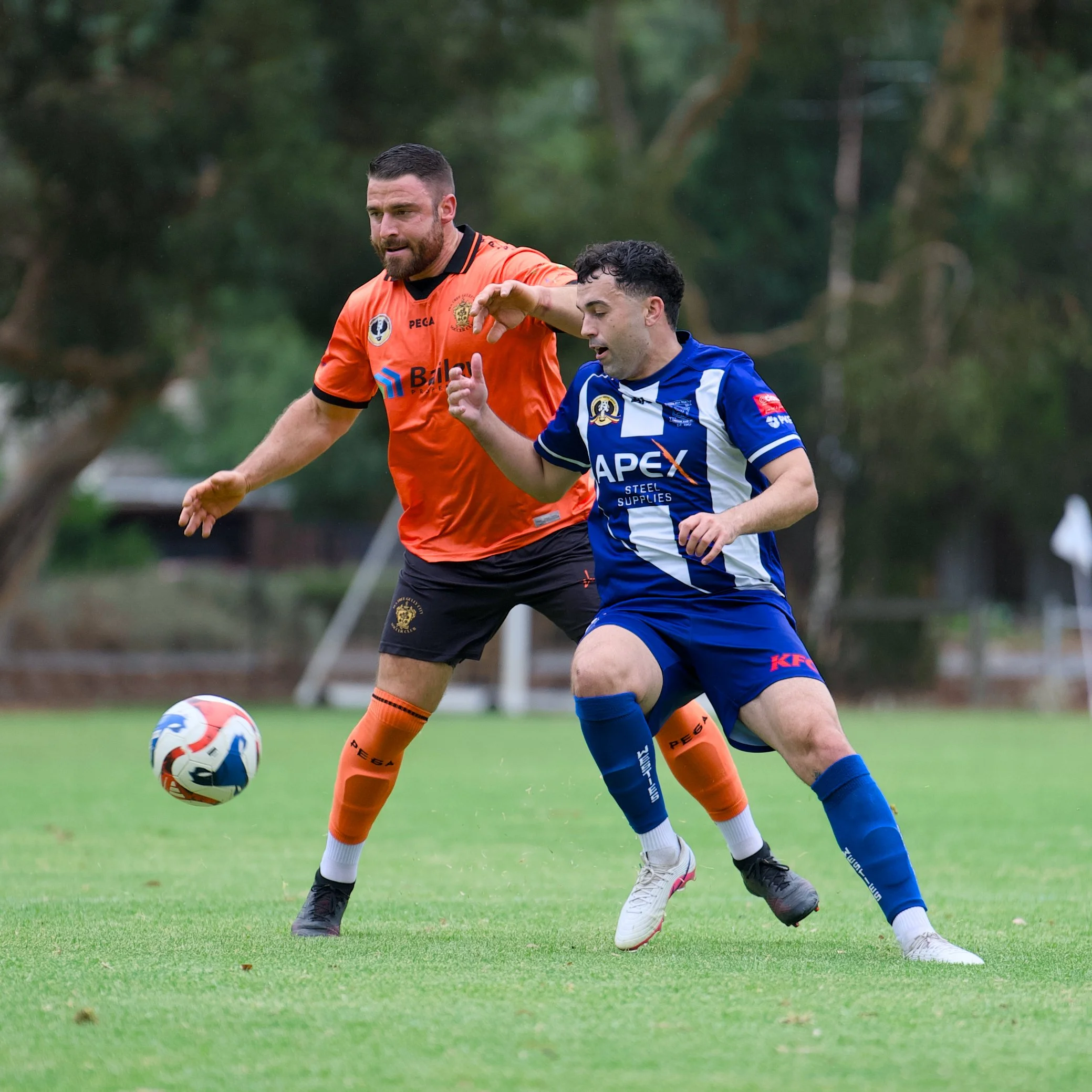 01/03/2026 Tea Tree Gully vs Para Hills West 