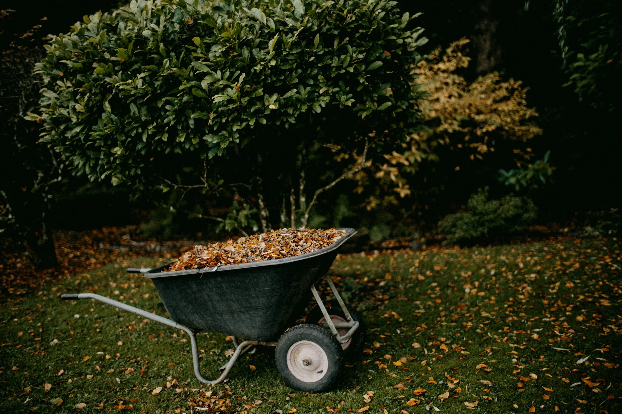 Wheelbarrow full of leaves cleared from patio before professional pressure washing