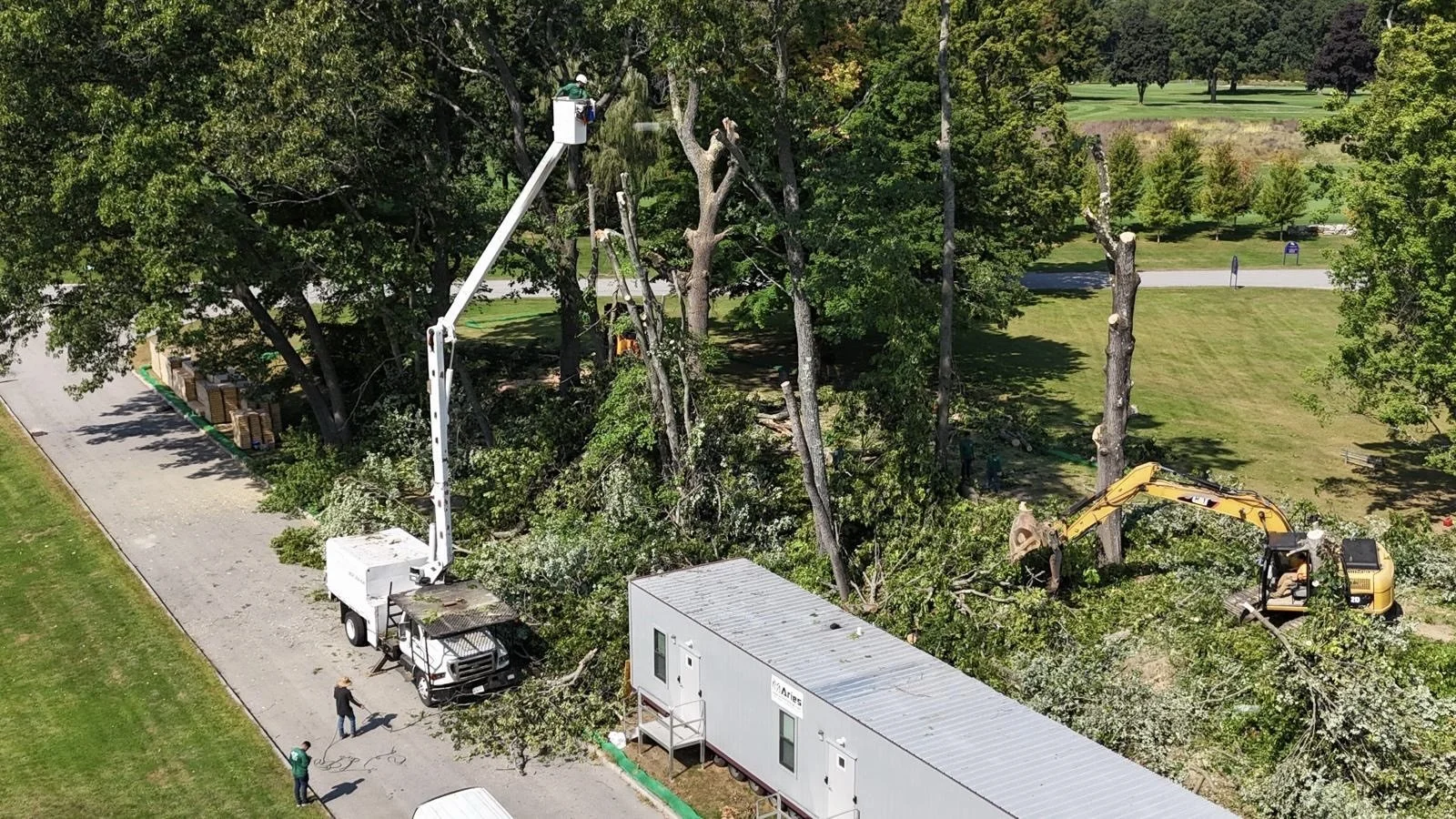 48c2faee-4b41-4984-bab7-3fe236824129 (4).jpeg