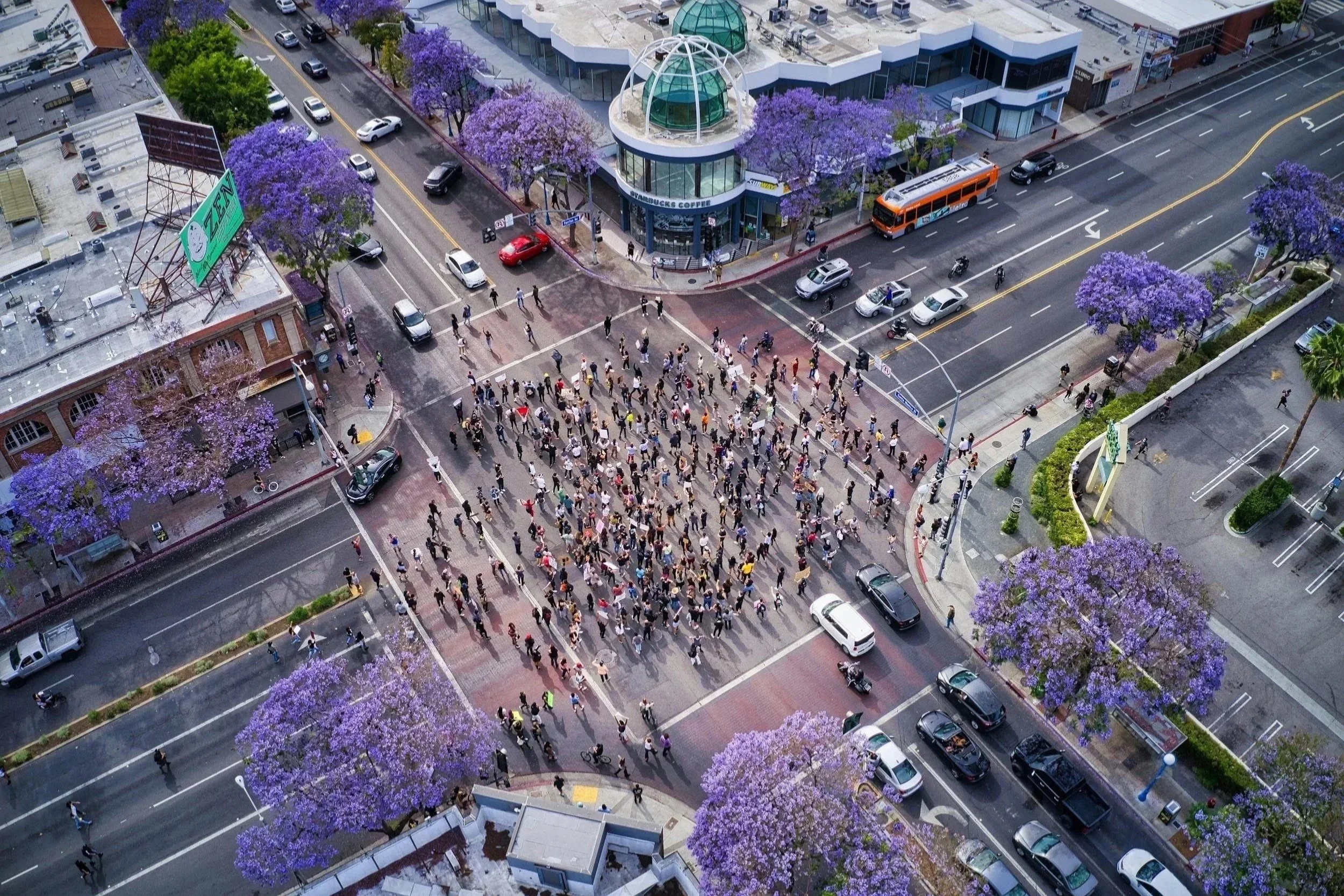 An aerial view of a city street corner with many pedestrians crossing at a crosswalk, purple flowering trees, surrounding shops, parked cars, and a few moving vehicles.